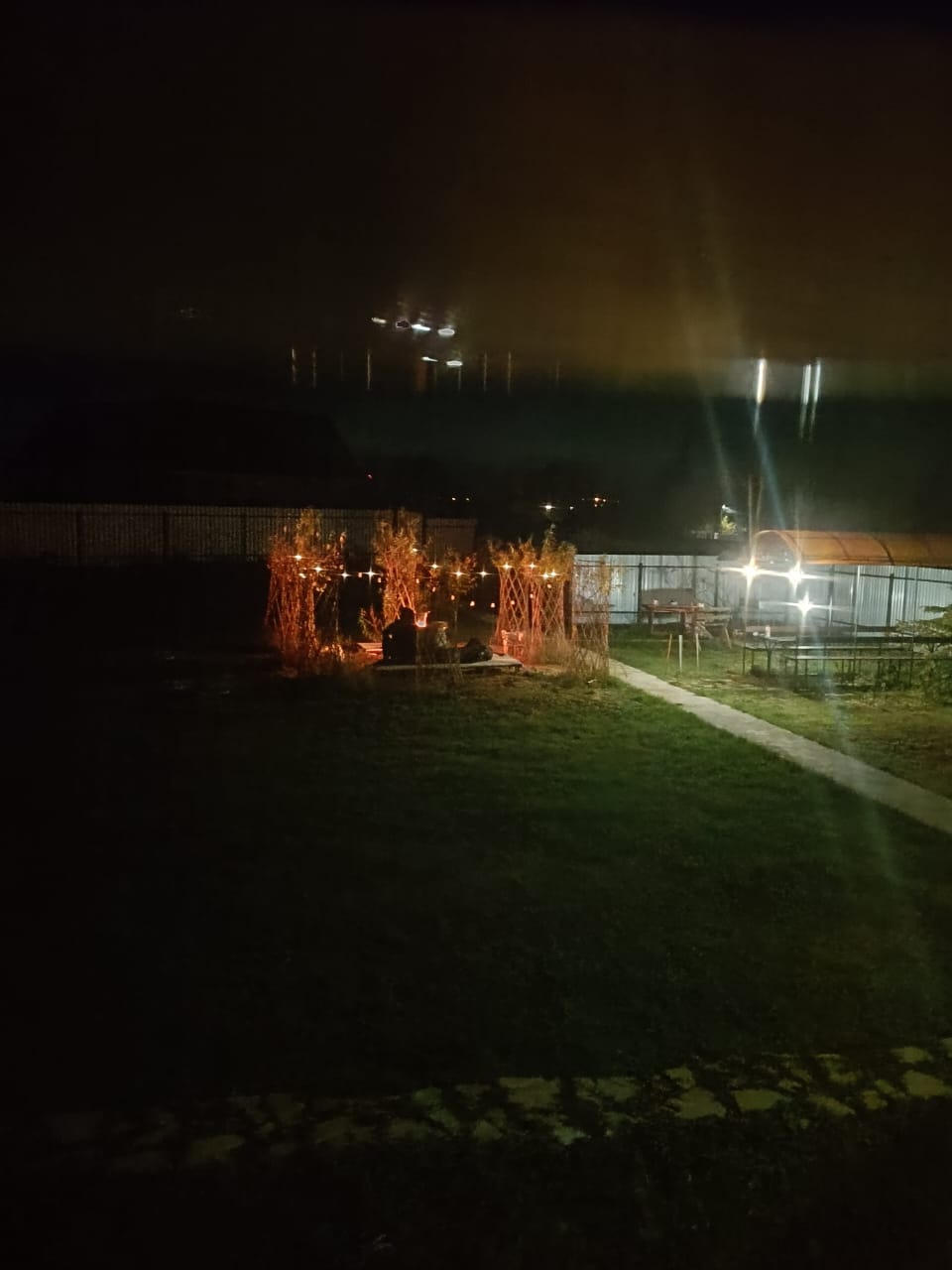 Фото Апельсин