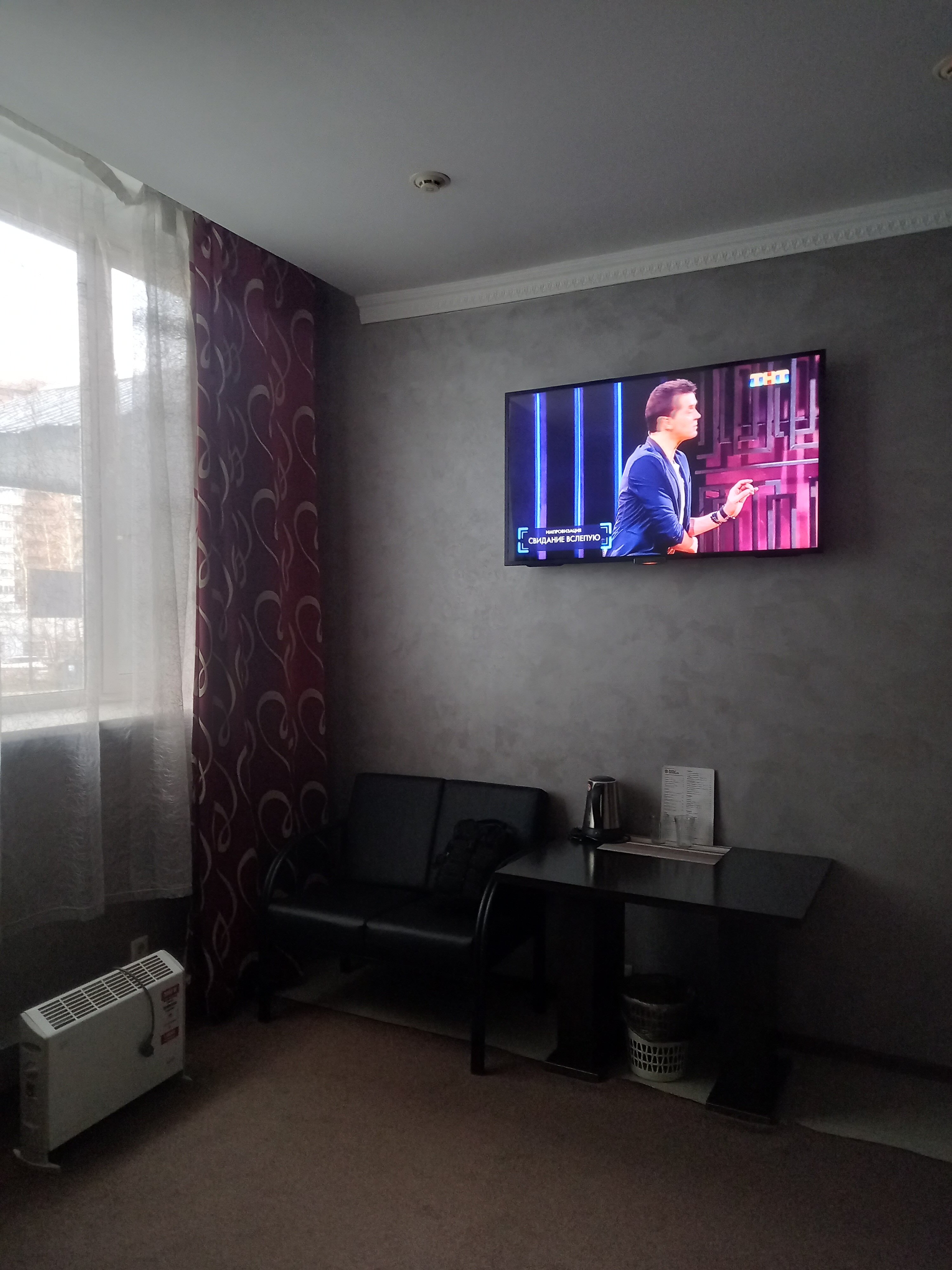 Фото Альбатрос