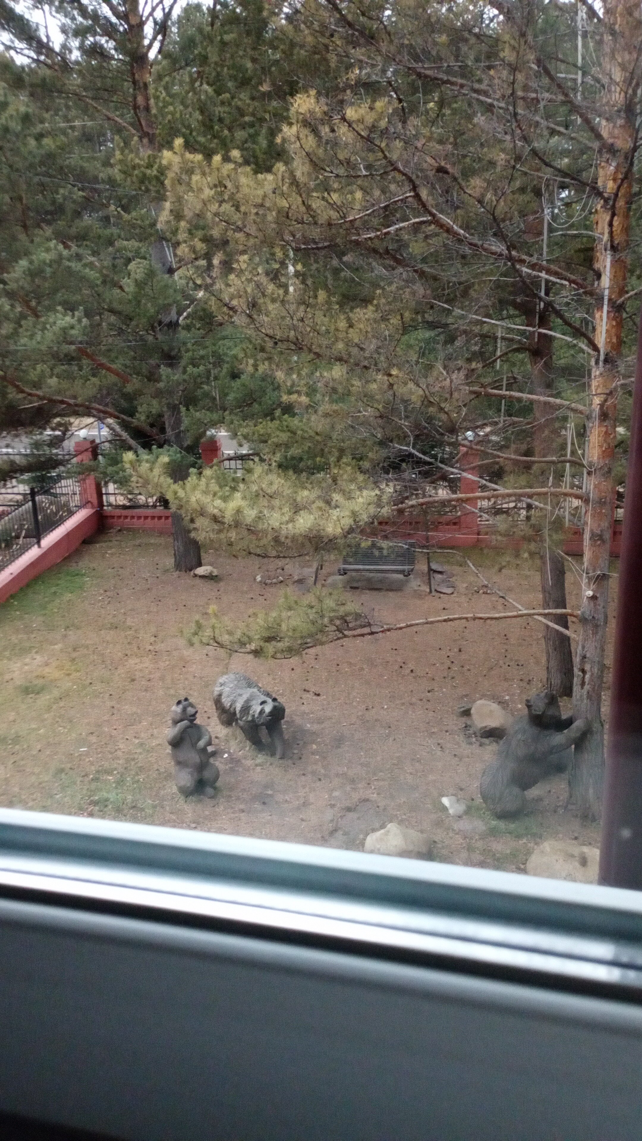 Фото Три Сосны