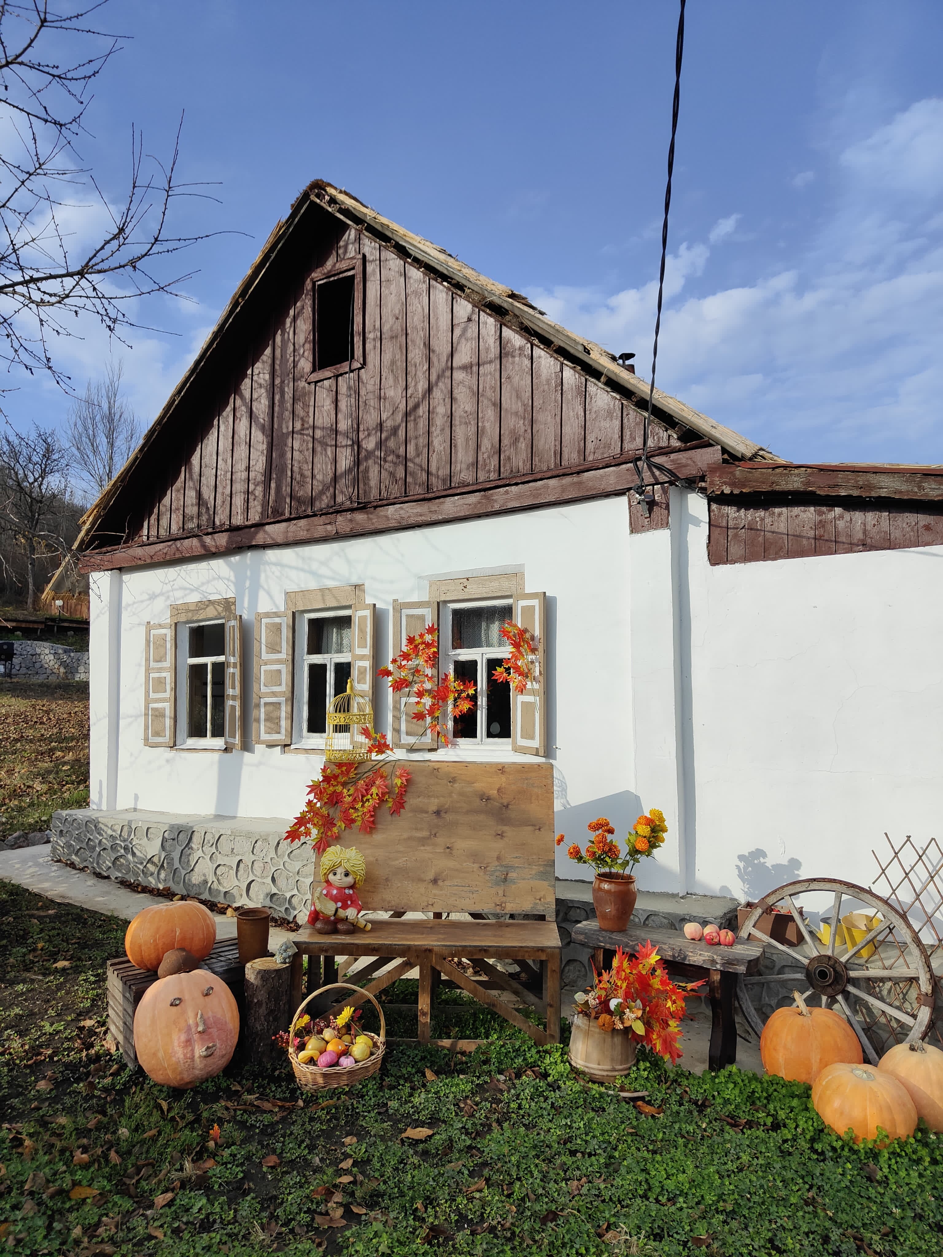 Фото Тихие Дивы