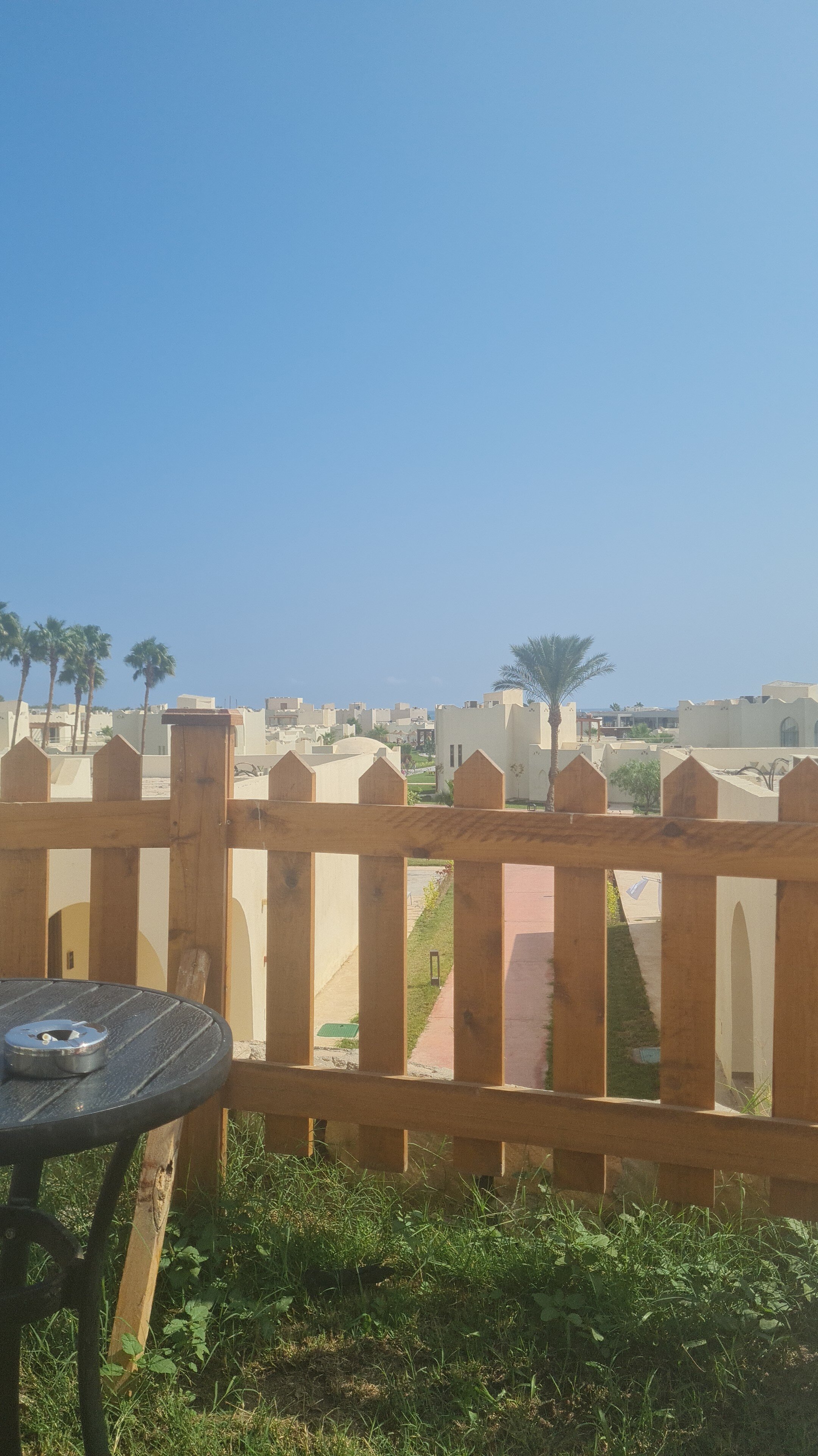 Фото 43410495811