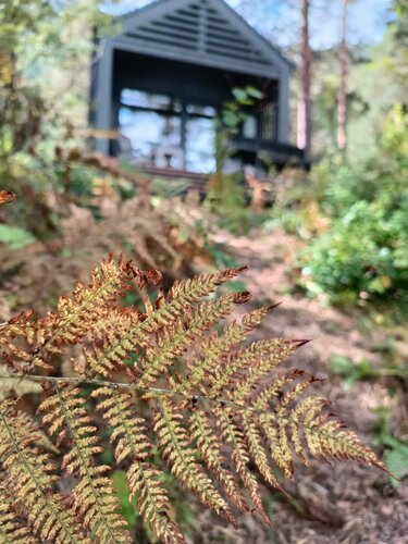 Иное жильё Belka forest house