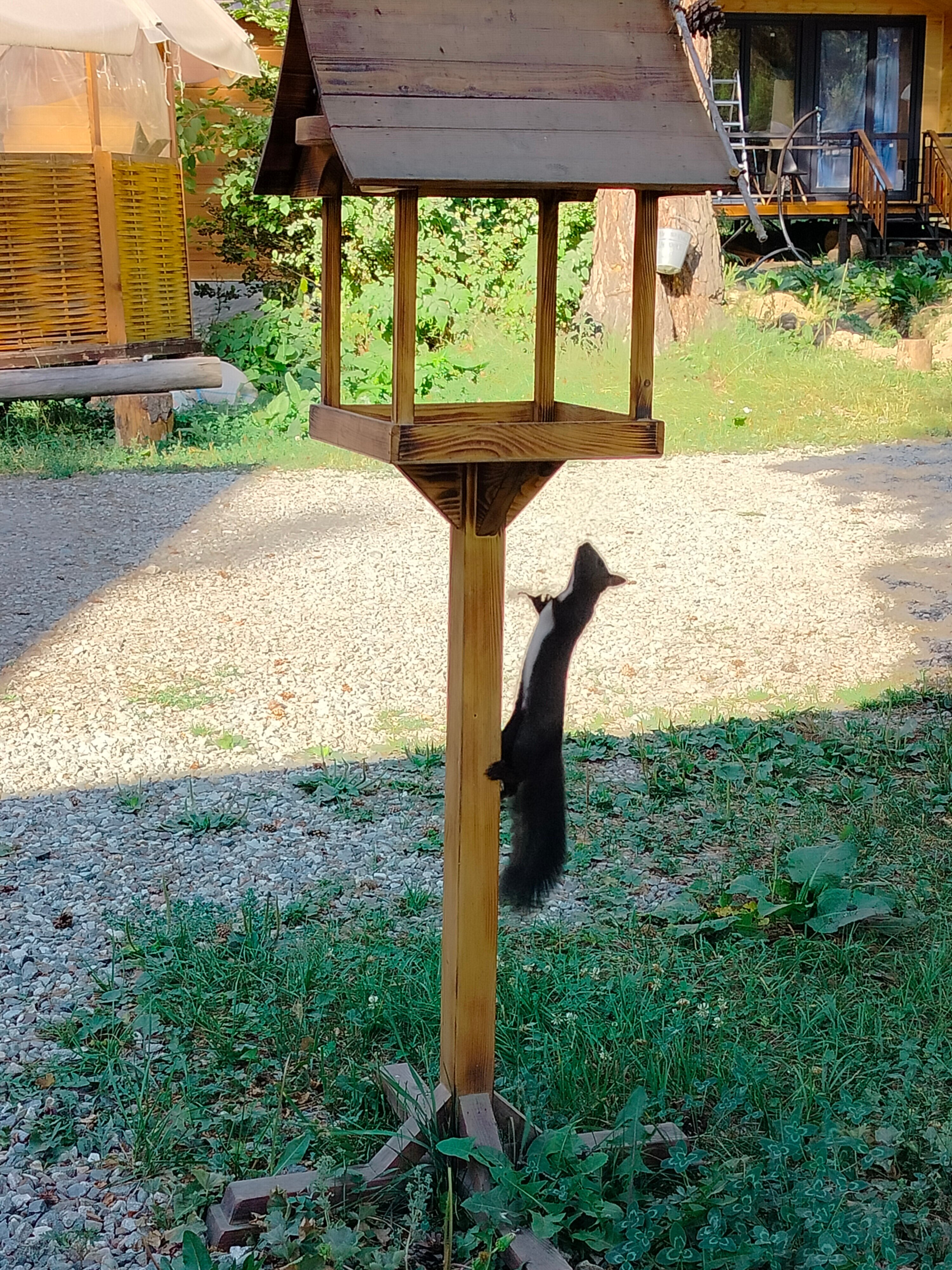 Фото КараБелка