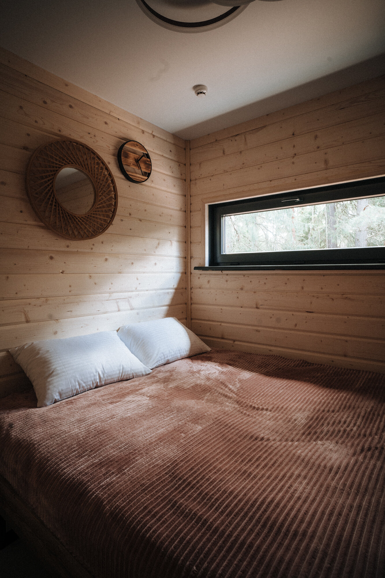 Фото Аквафорест