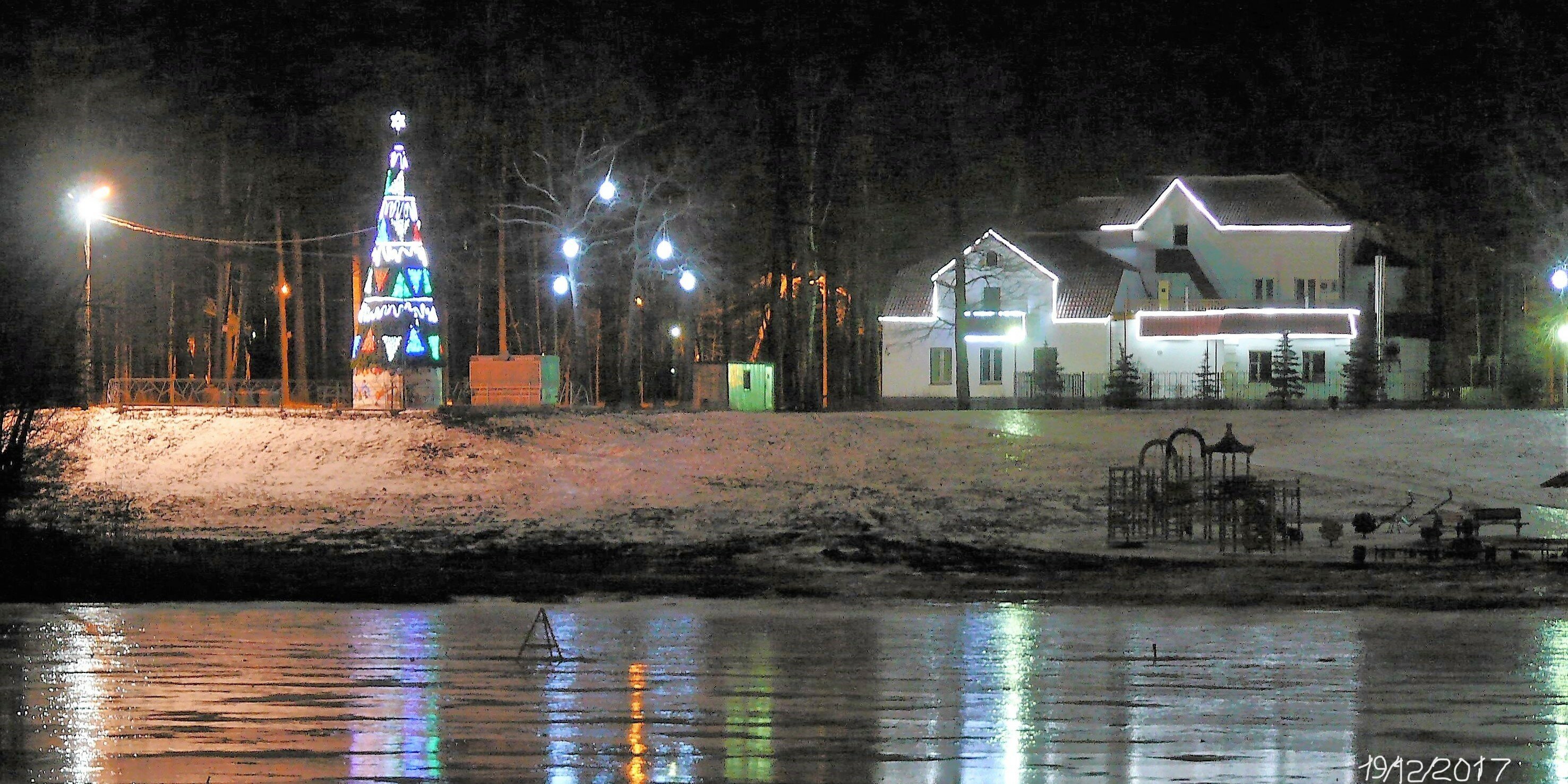 Фото Лесная