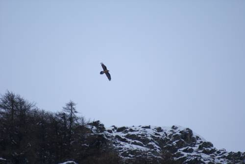 Фото Albergo Boule de Neige