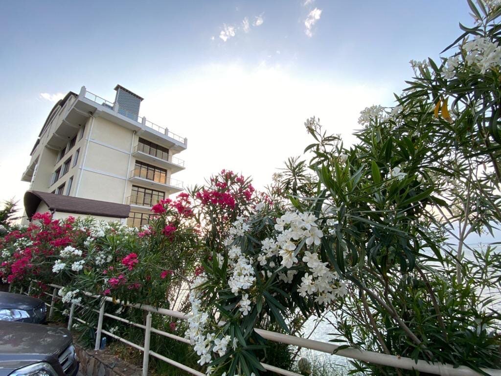 Фото Калипсо