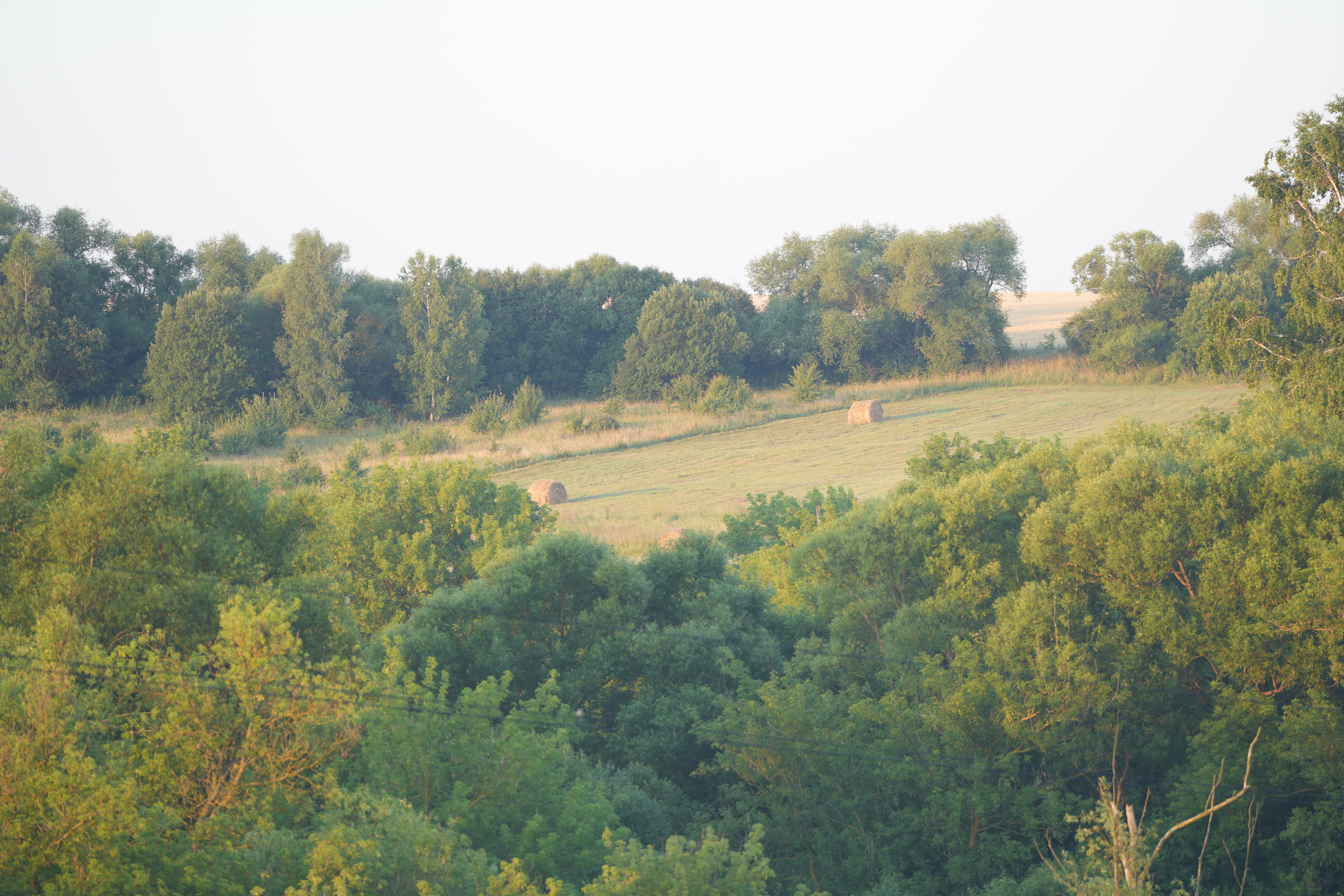 Фото Соты & Варенье