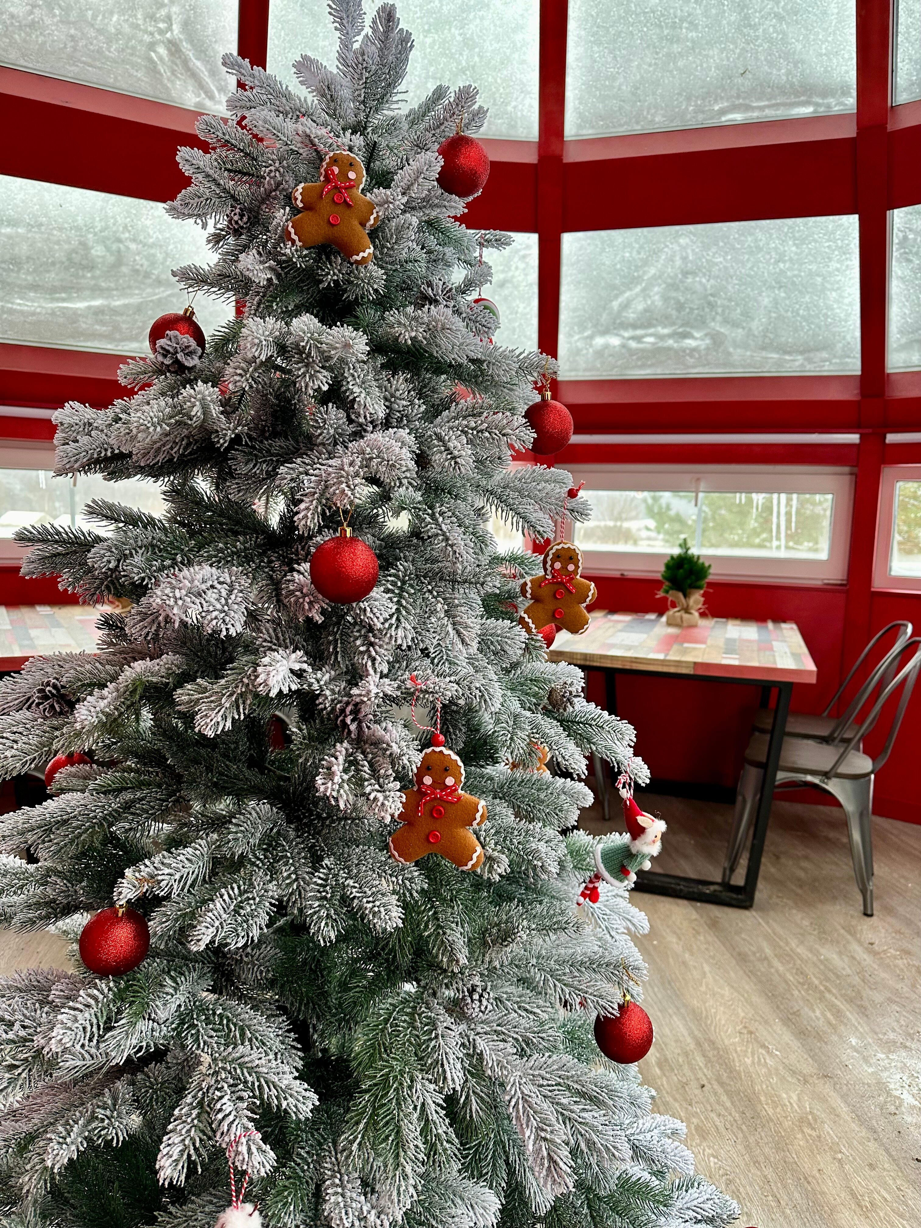 Фото Просто Cosmos