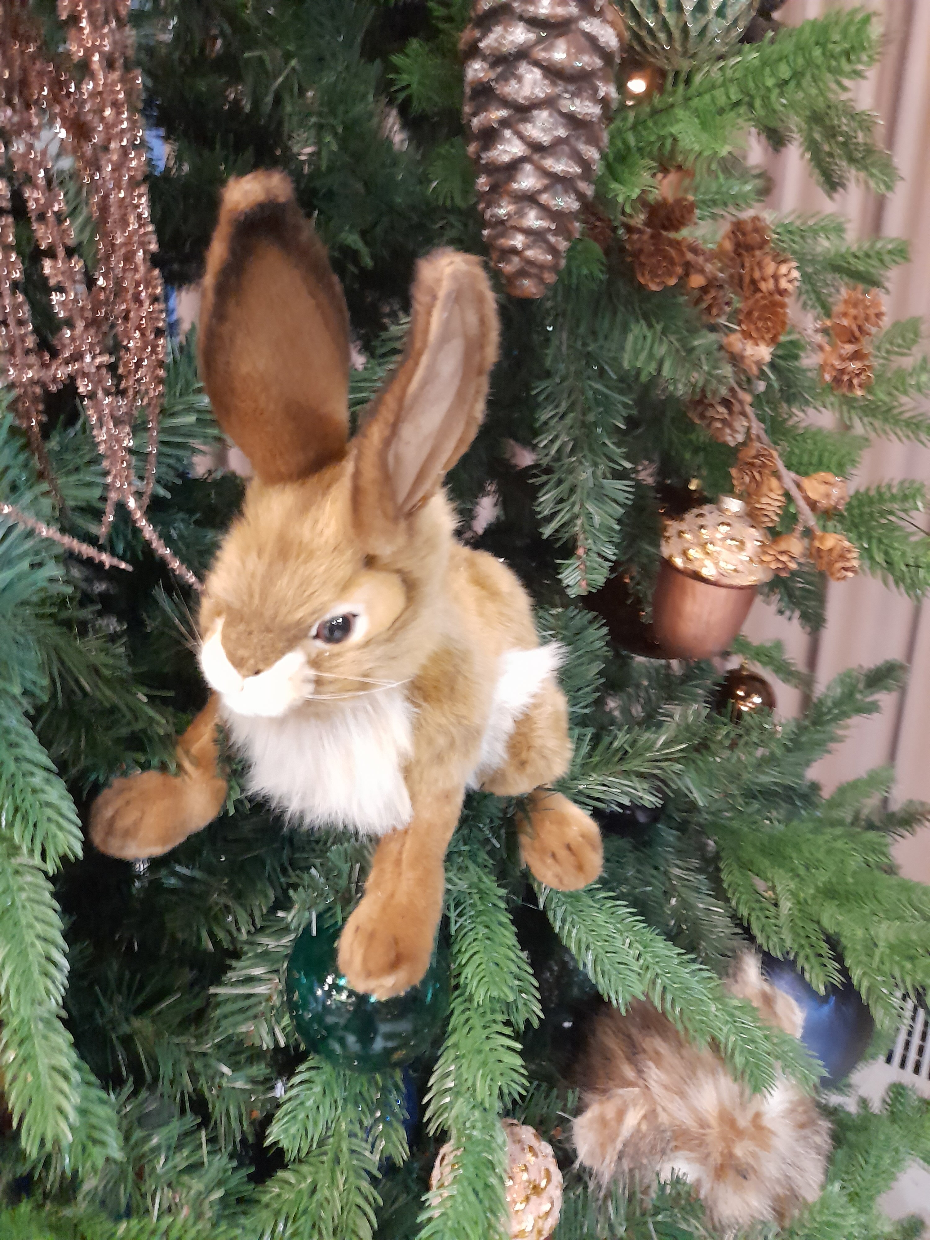 Фото Лукоморье