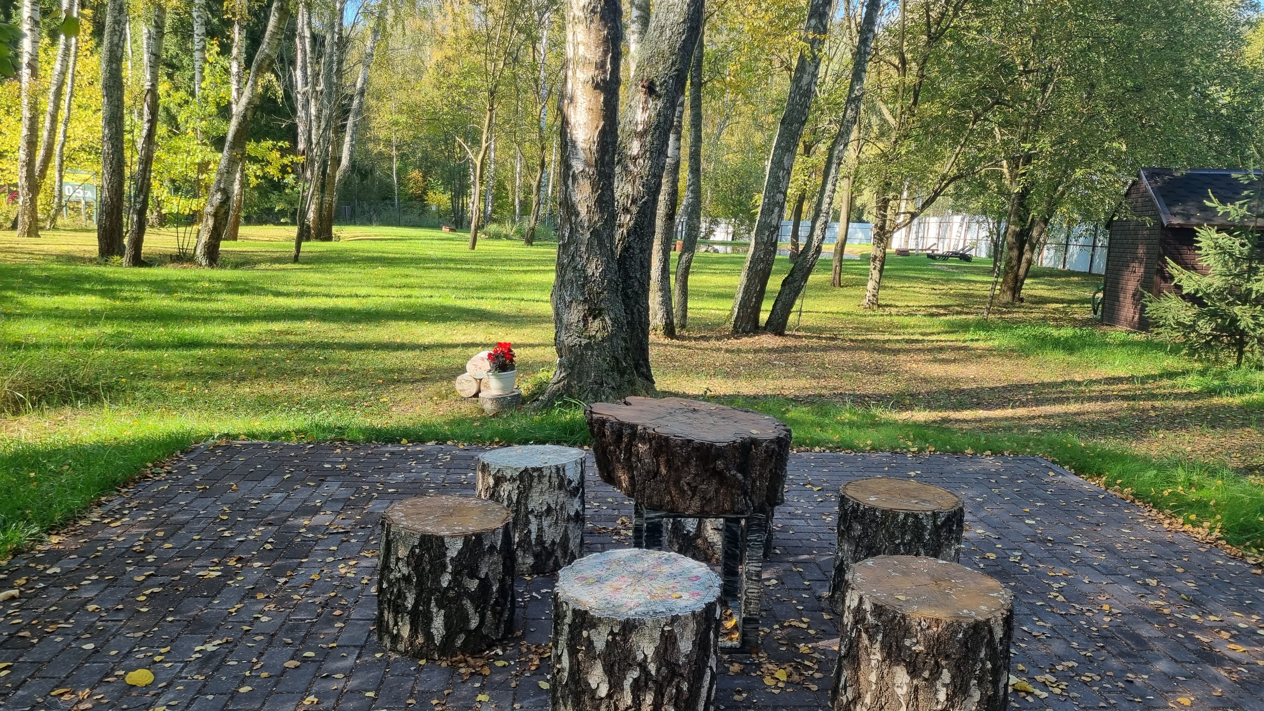 Фото Уютный домик в лесу у пруда