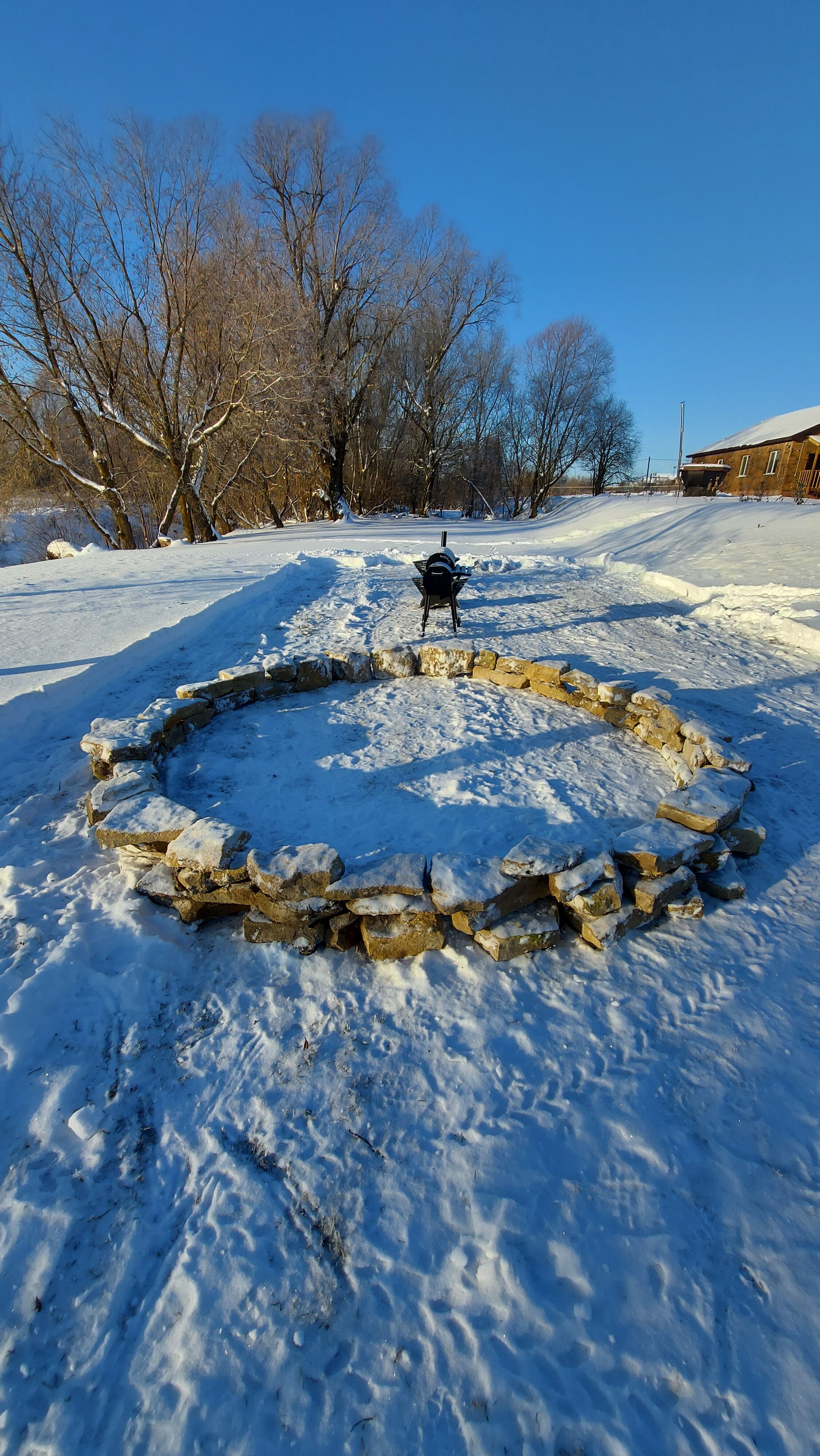 Фото Ёлки-Палки