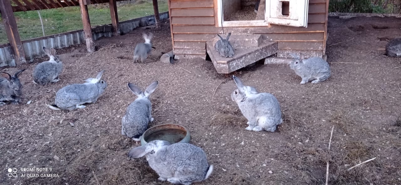 Фото Берег Кана