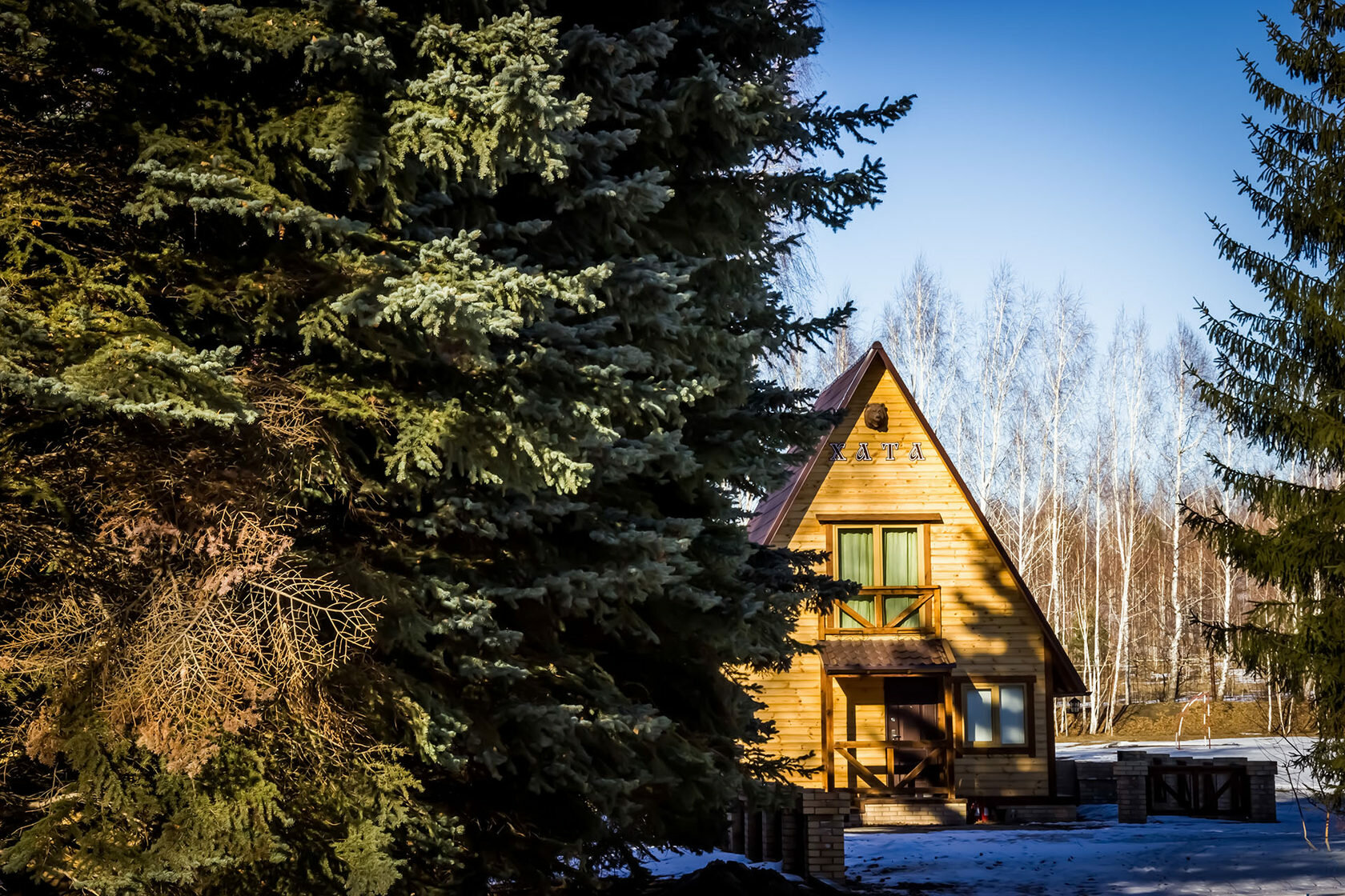 Фото Медвежий угол