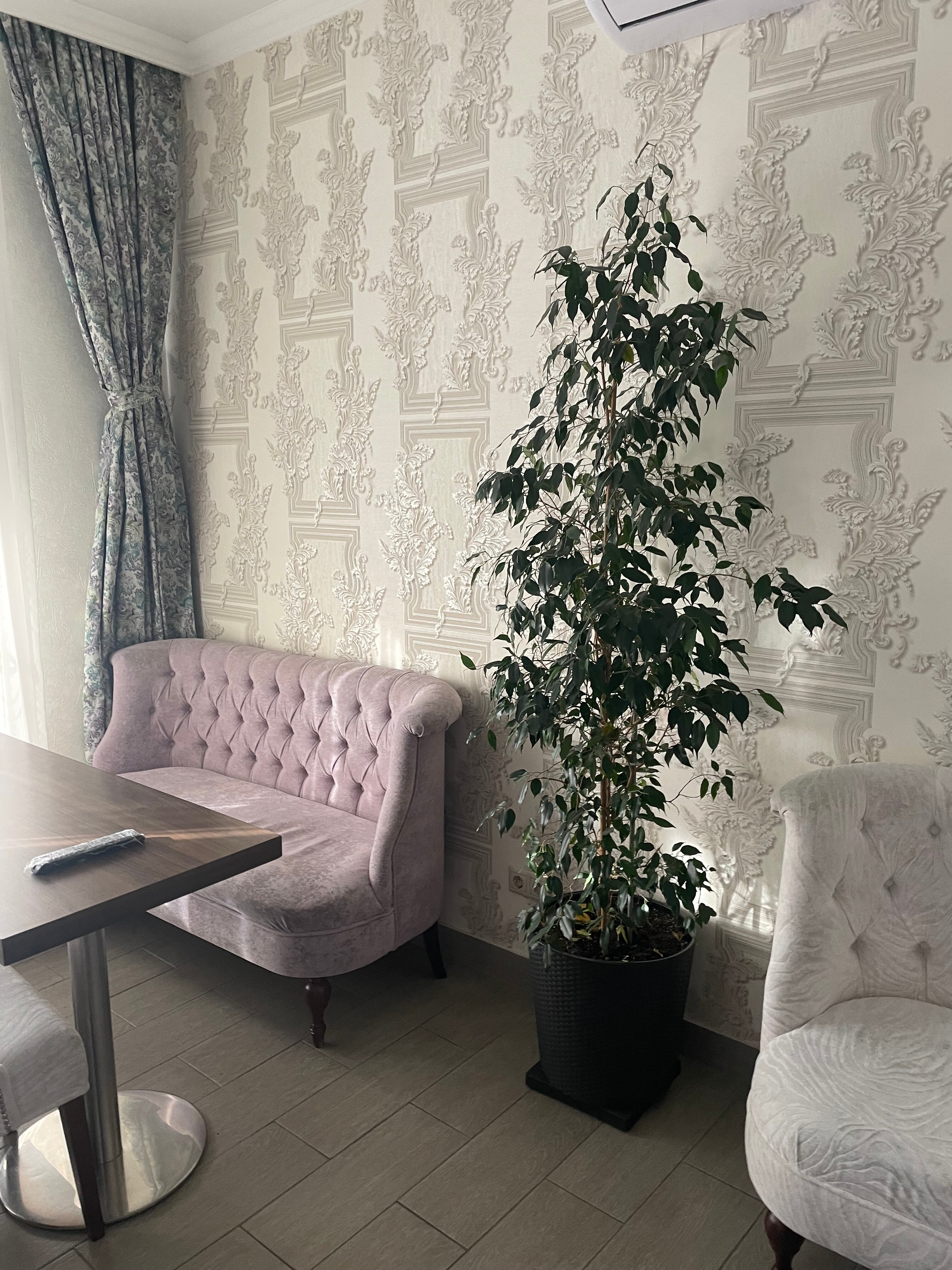 Фото Д отель