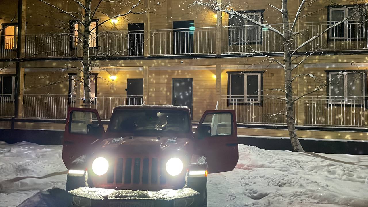 Фото Березки