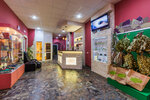 Lyogkij Par (Rogova Street, 22к2) ، حمام البيت