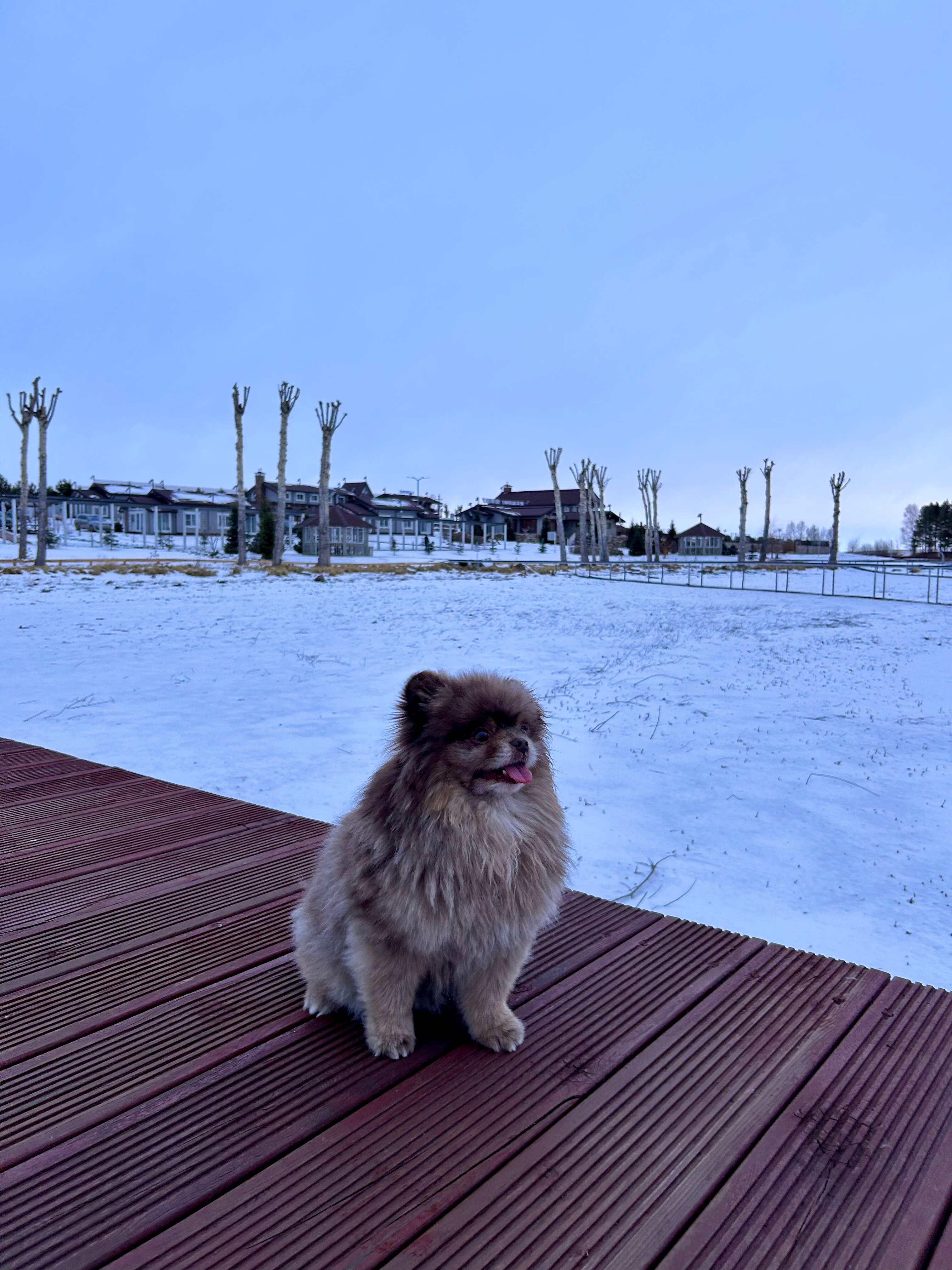 Фото Каменный ручей