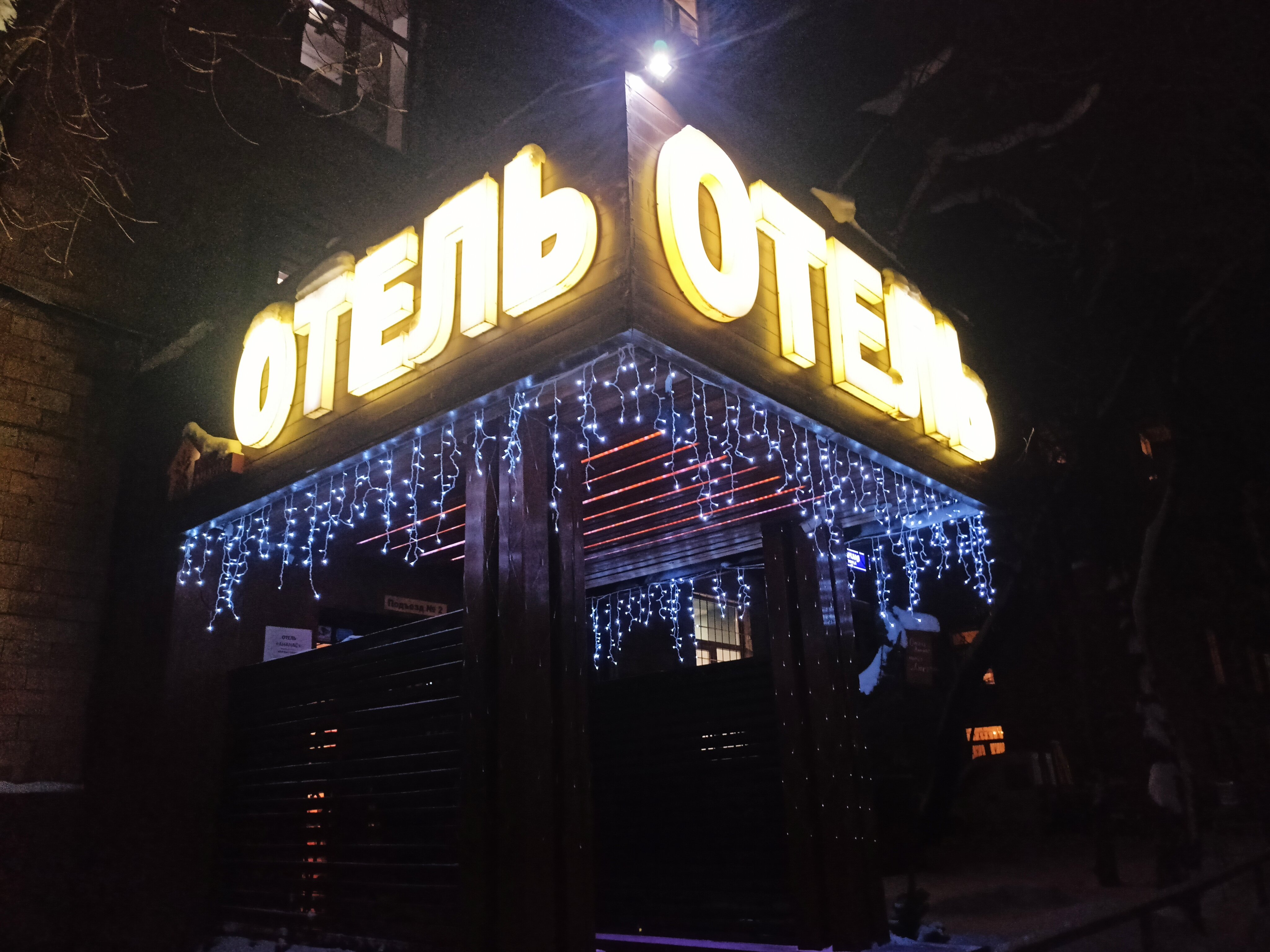 Фото Ананас