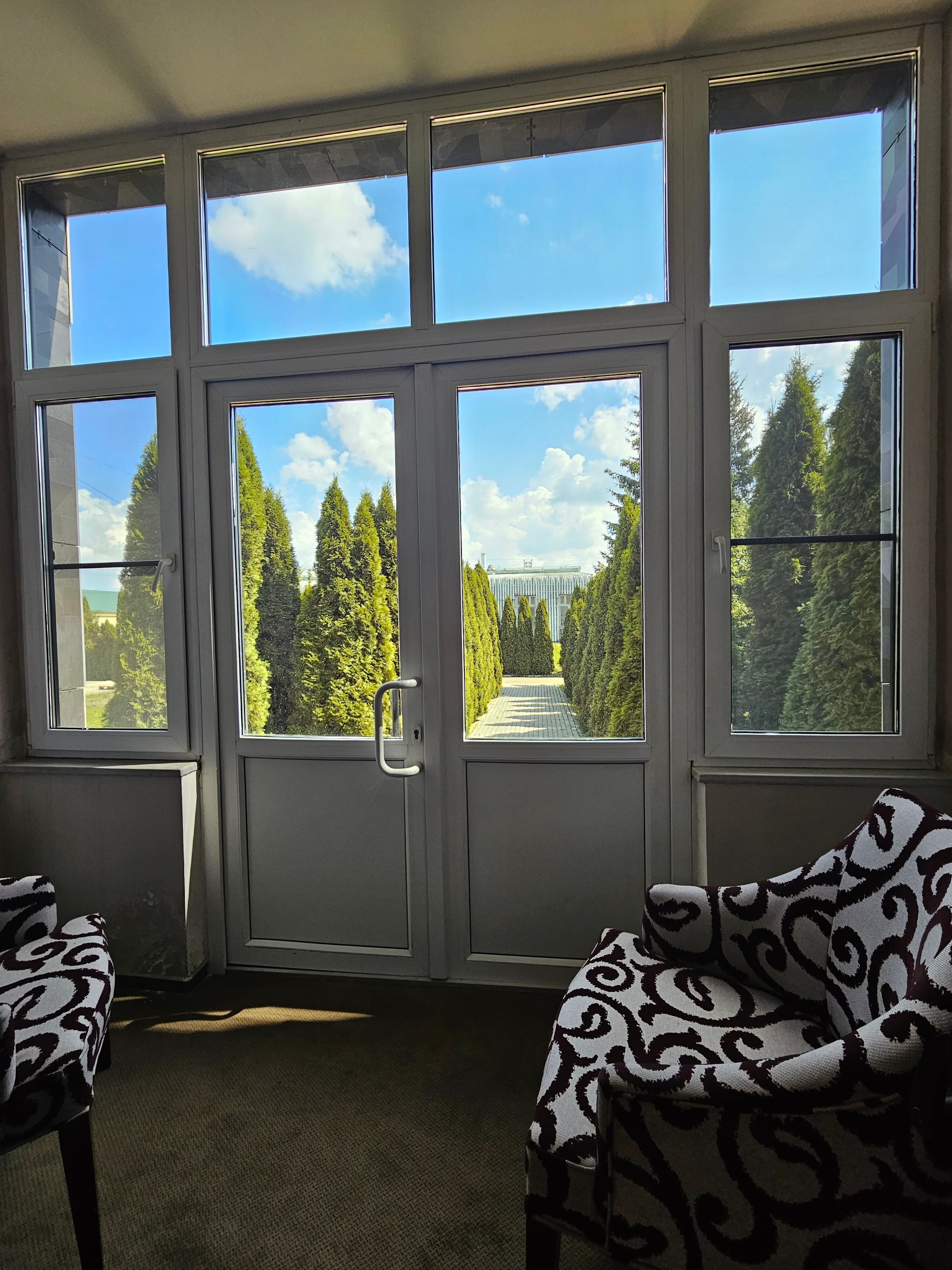 Фото Форест