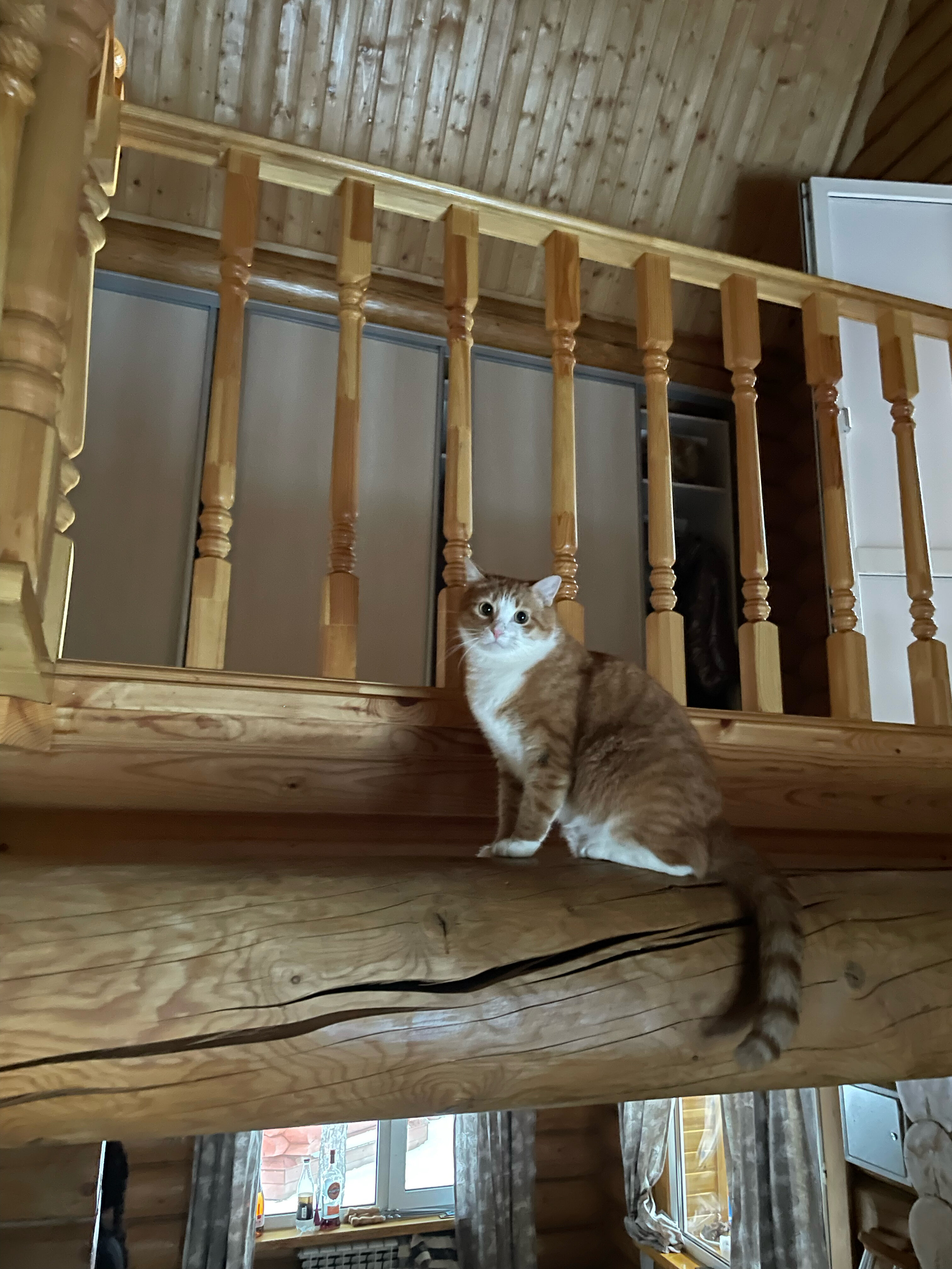 Фото Малиновка