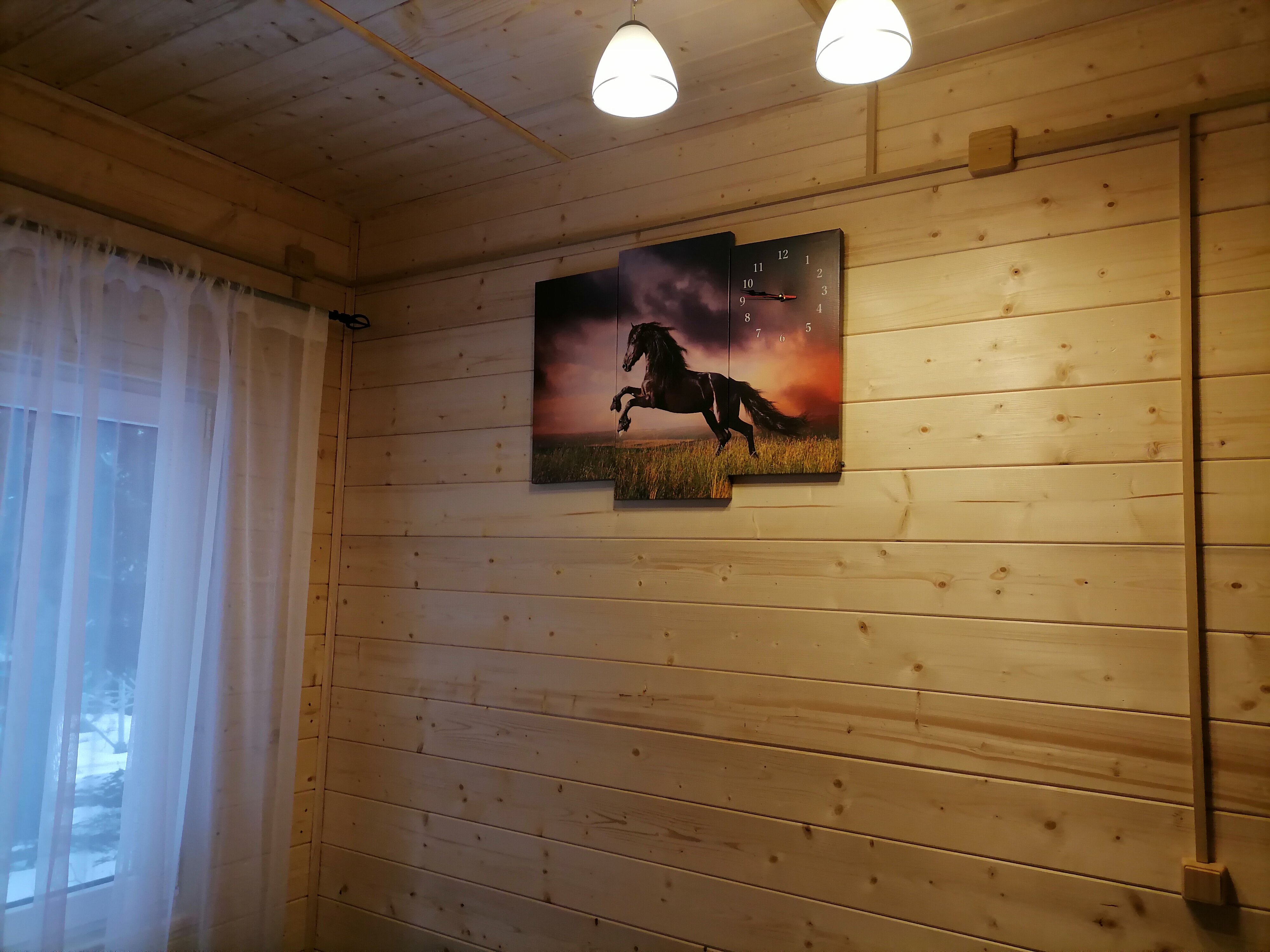 Фото Дикая Лошадь