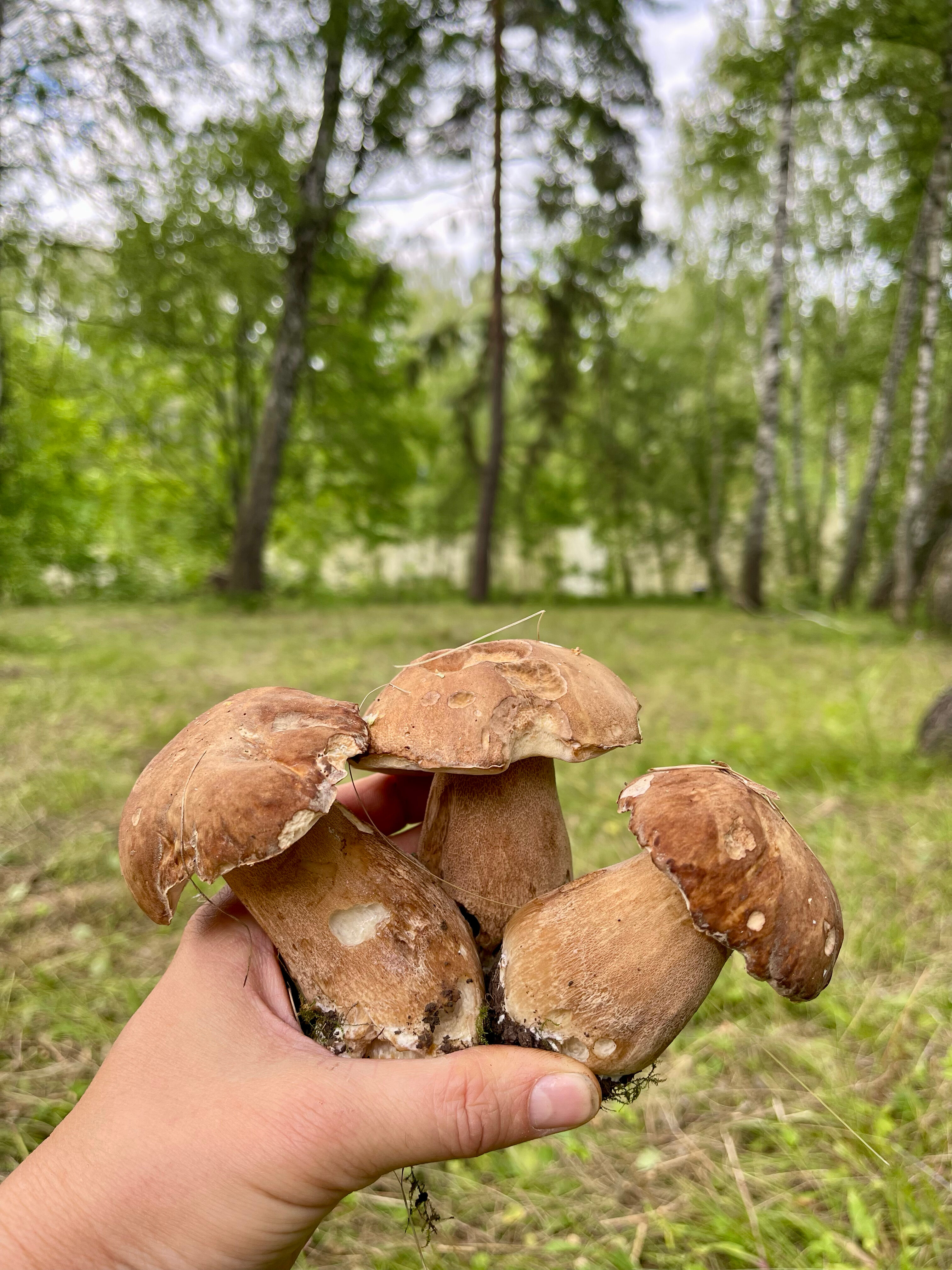 Фото Наше Место