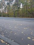 Ривьера апарт (Primorskoye Highway, 570), hotel