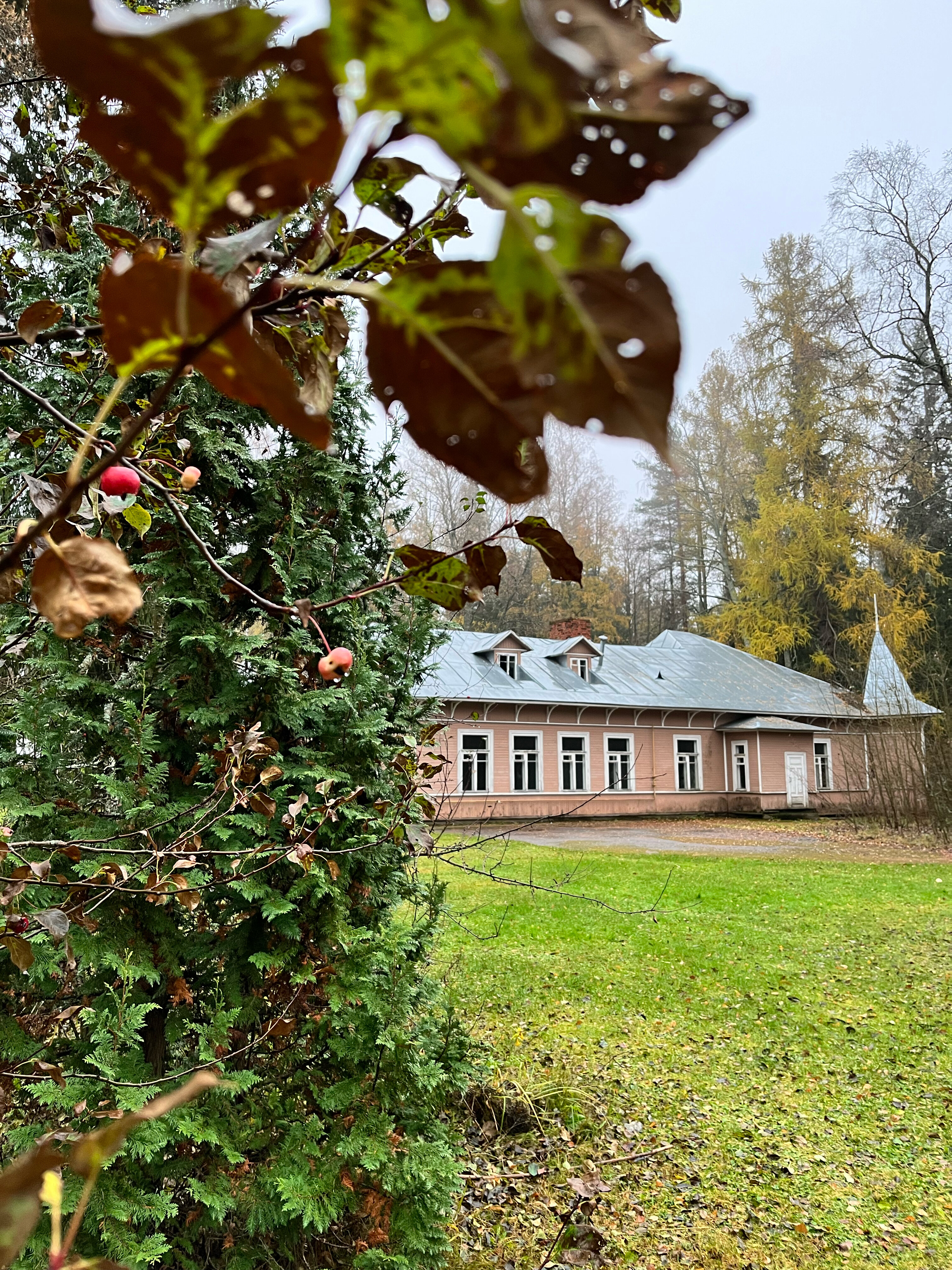 Фото Архитектура здоровья