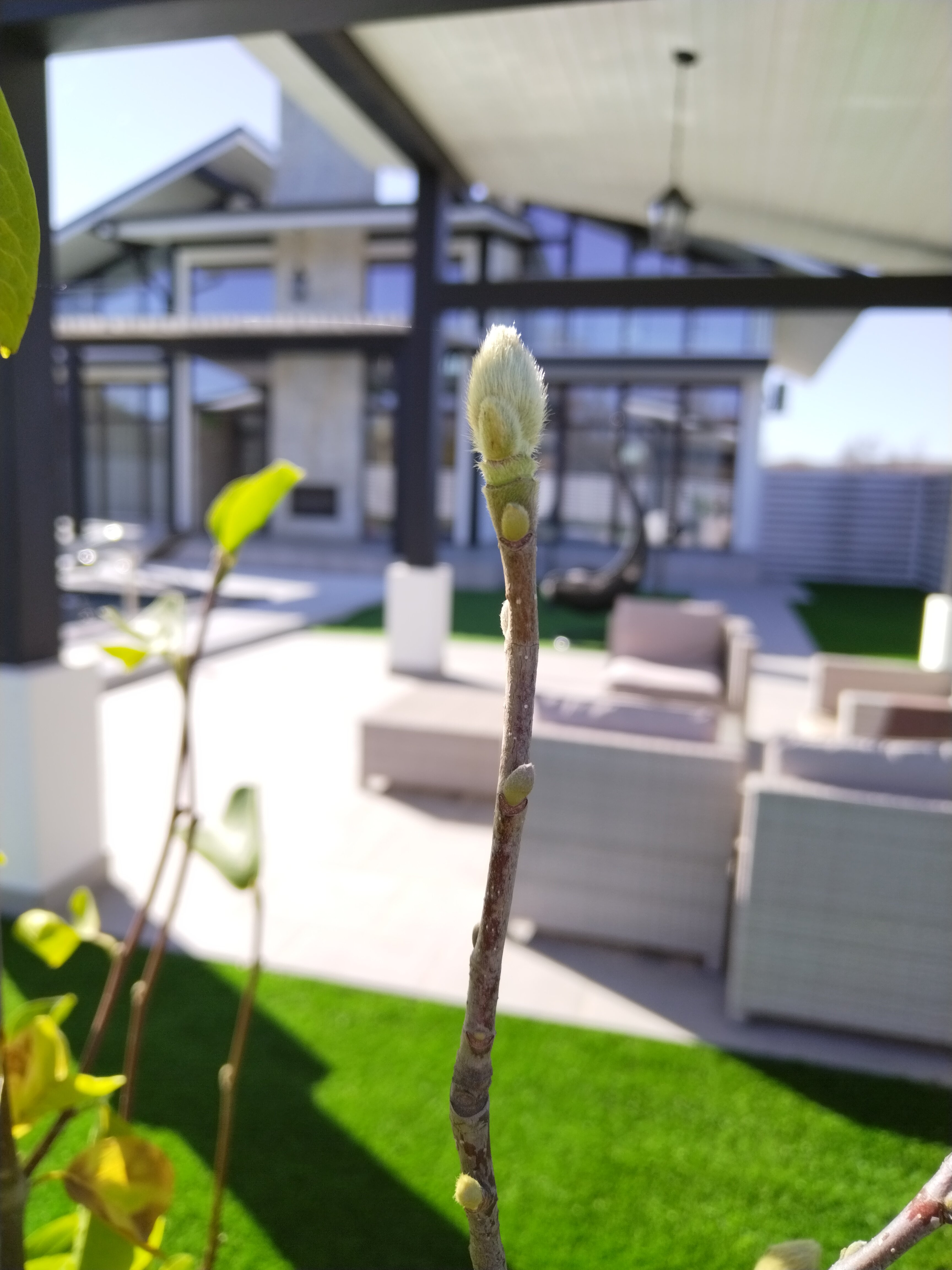 Фото Red Bridge Resort relax&spa