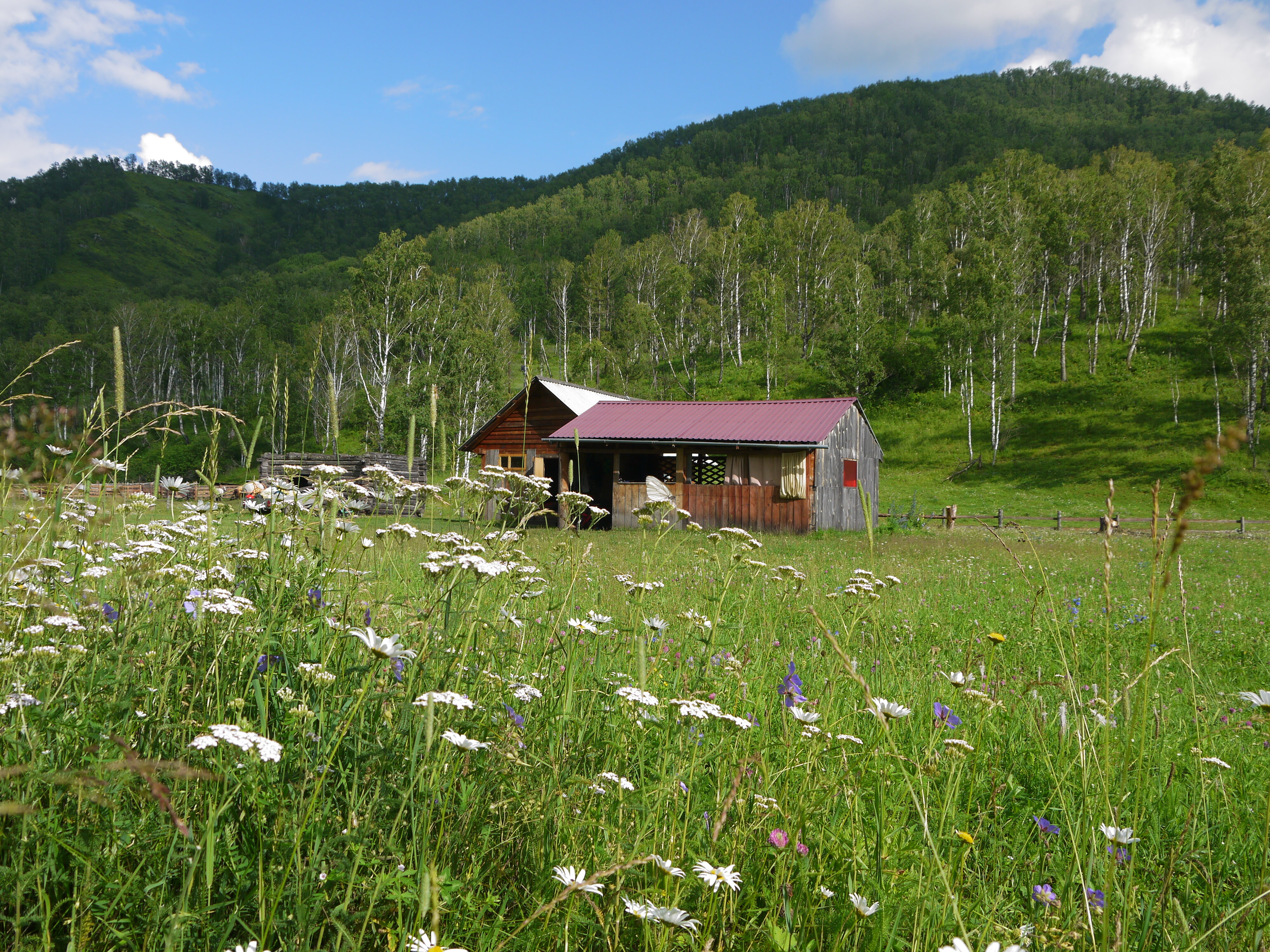 Фото Чедоев привал