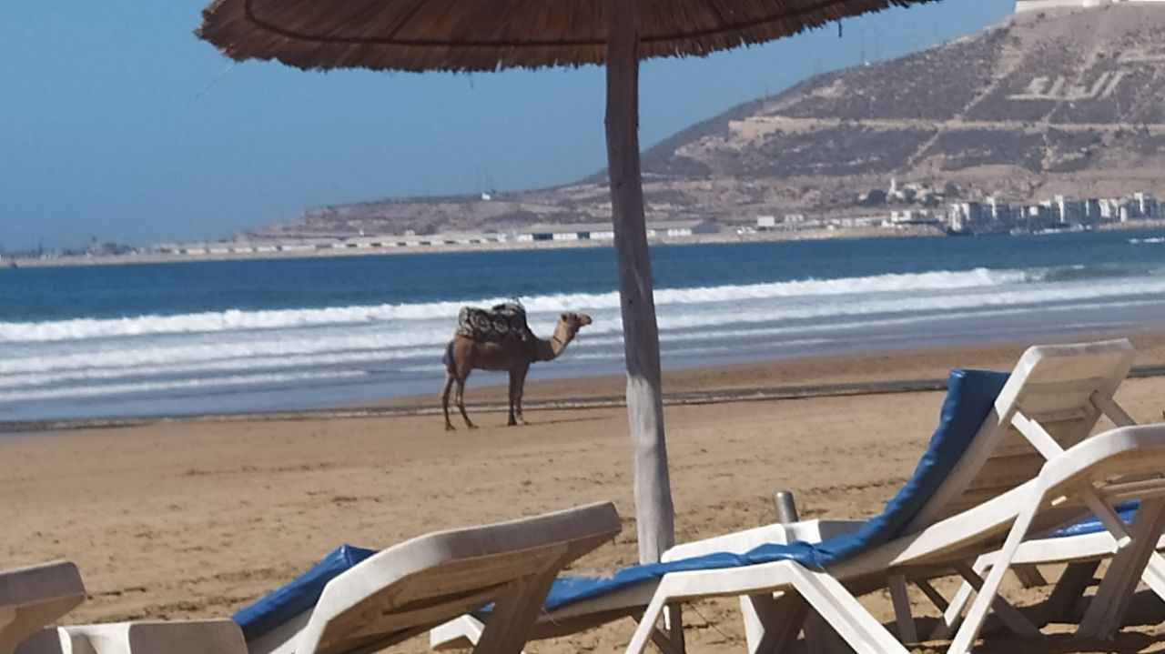 Фото Atlas Amadil Beach