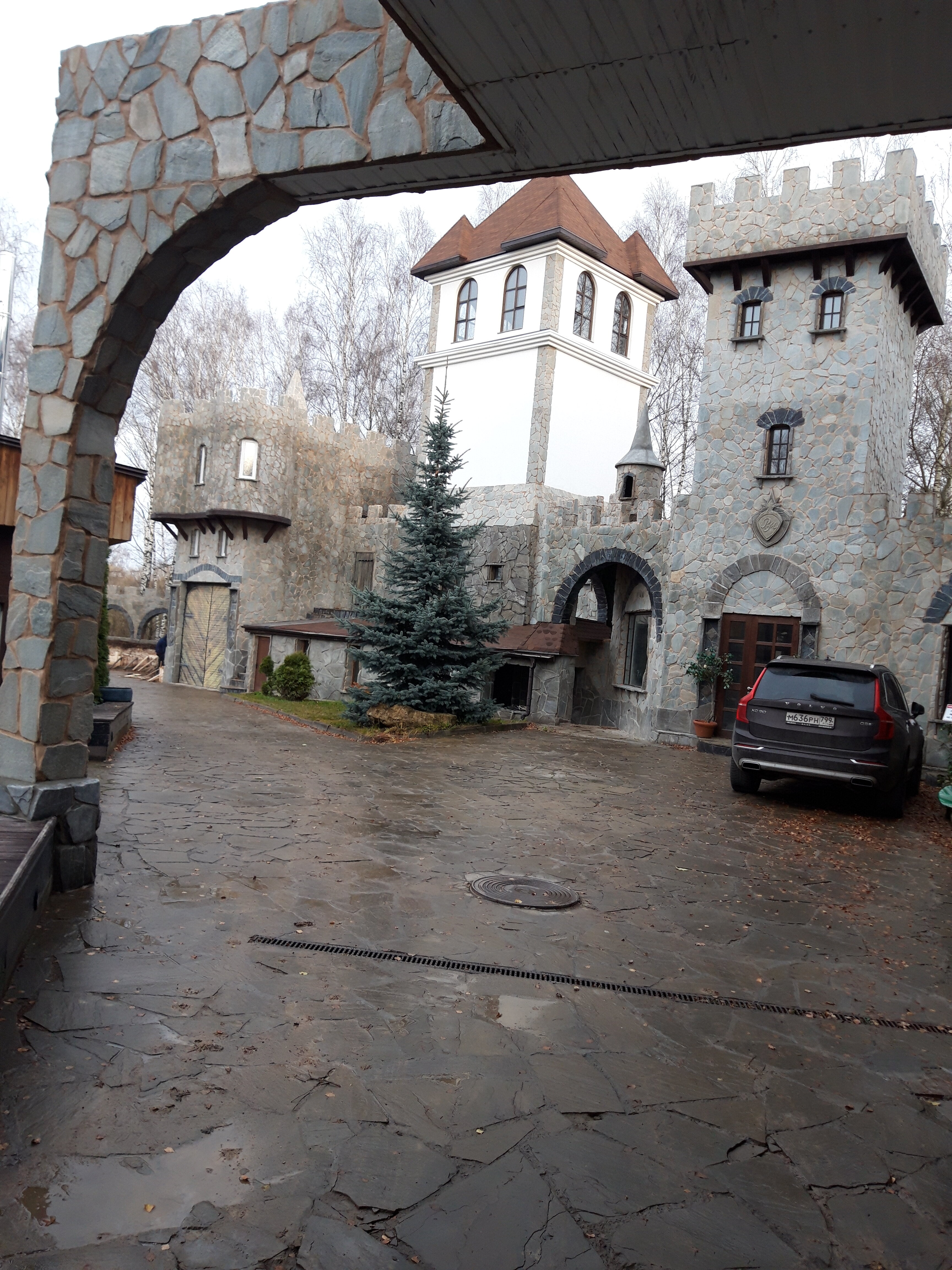 Фото Ваниль