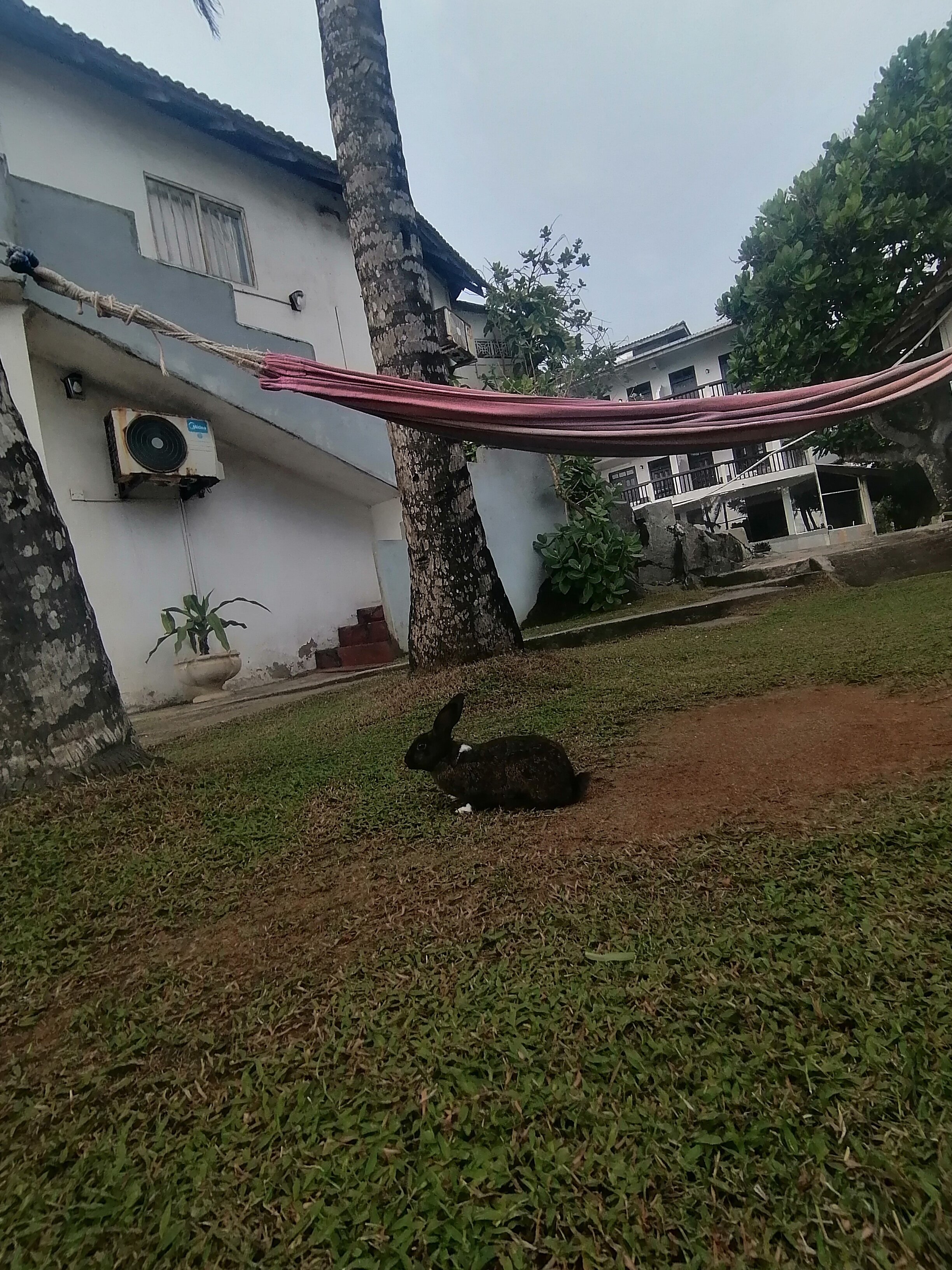 Фото Shanthi beach resort