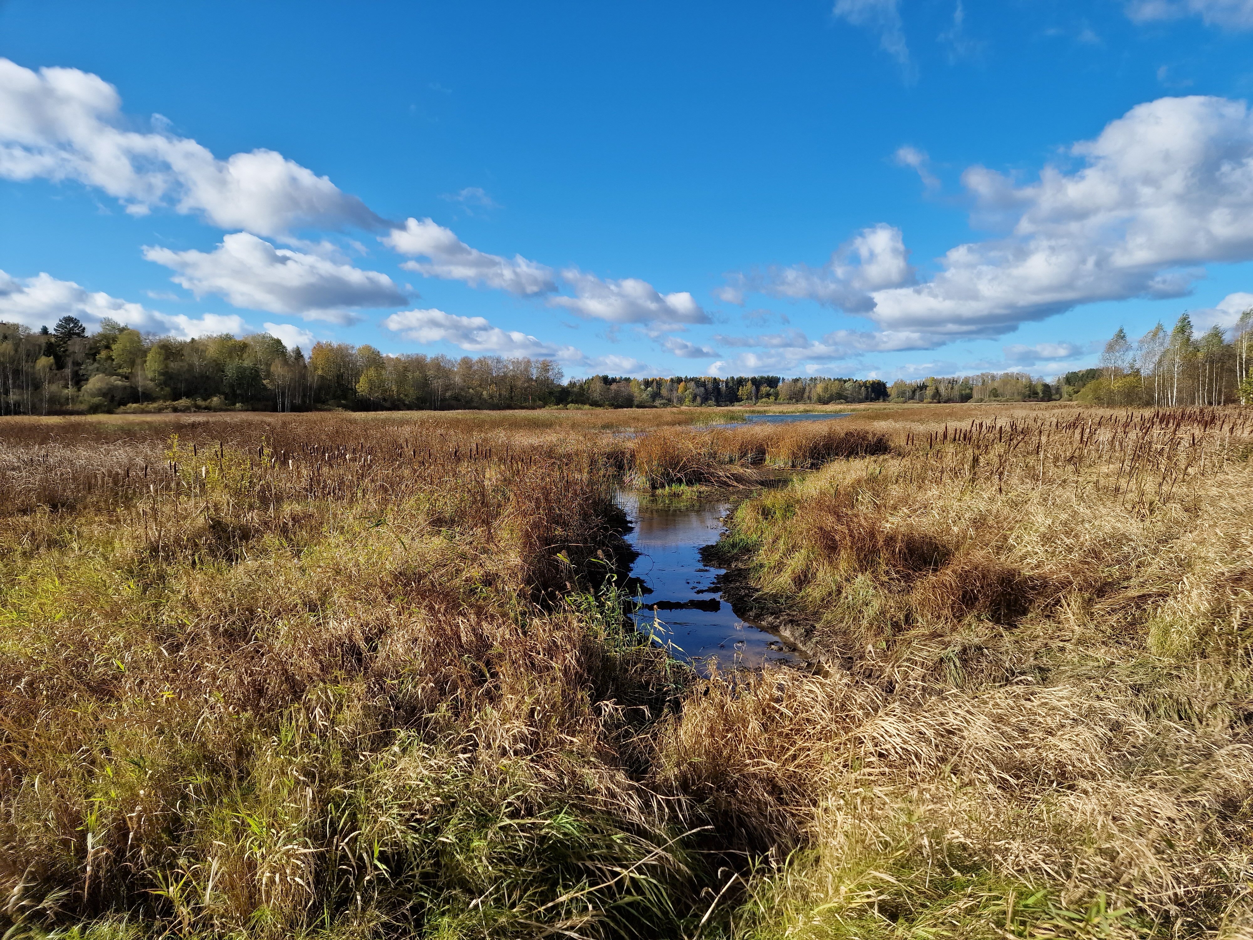 Фото Light House