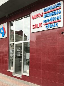 Silk Medical (Luka Asatiani Street, 45) ، مركز طبي، عيادة