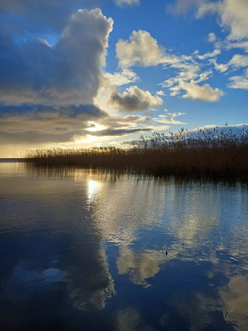 Фото Куршале