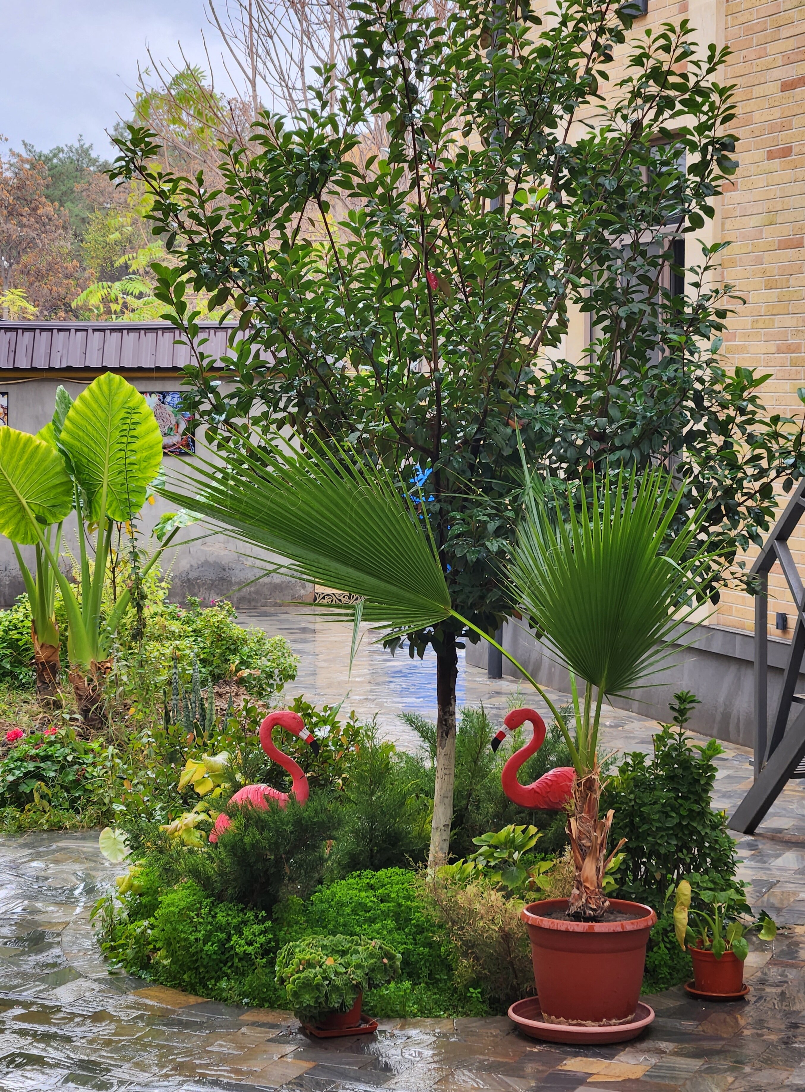 Фото Alpha Plaza