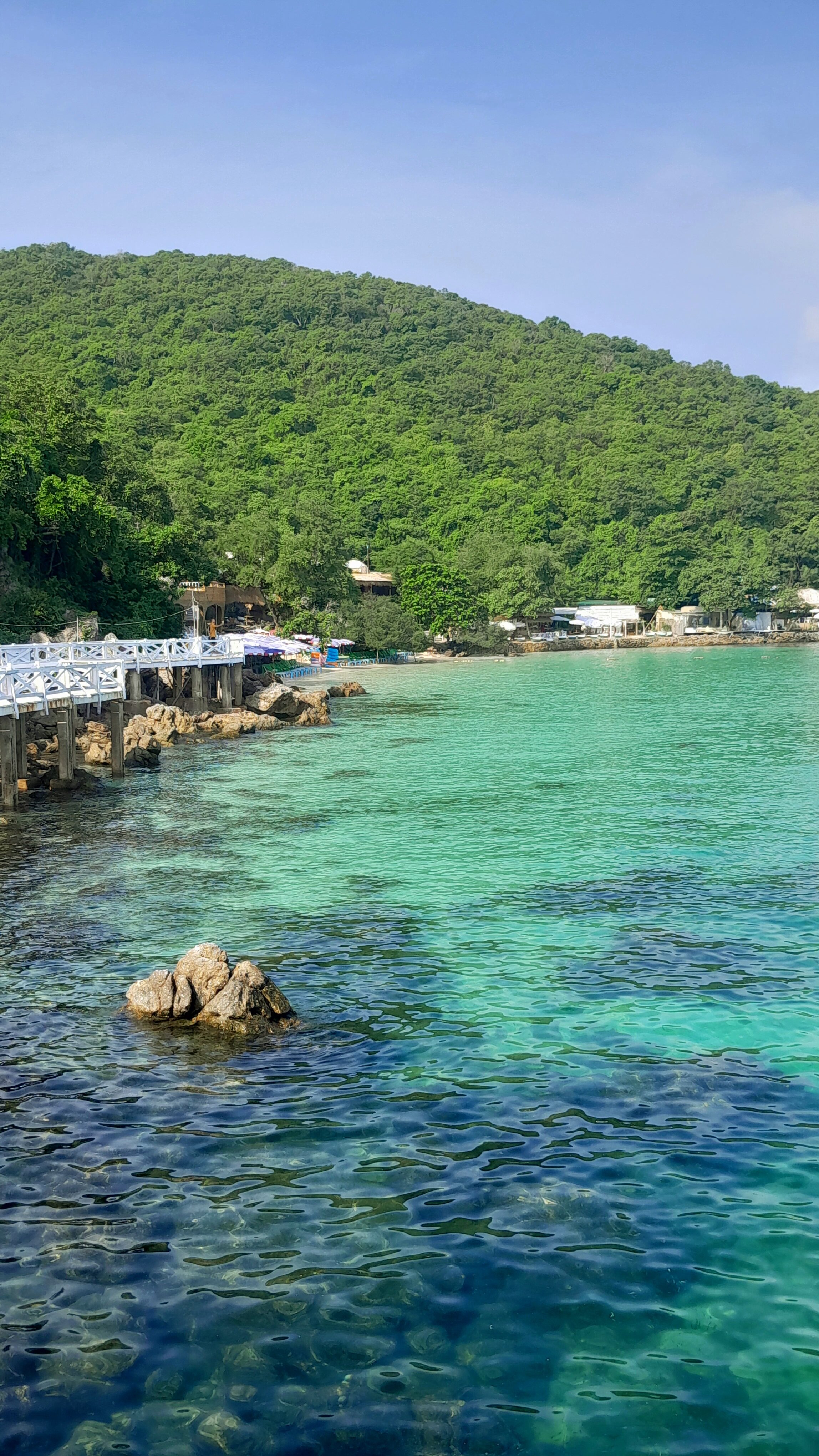 Фото Pattaya Park Beach Resort