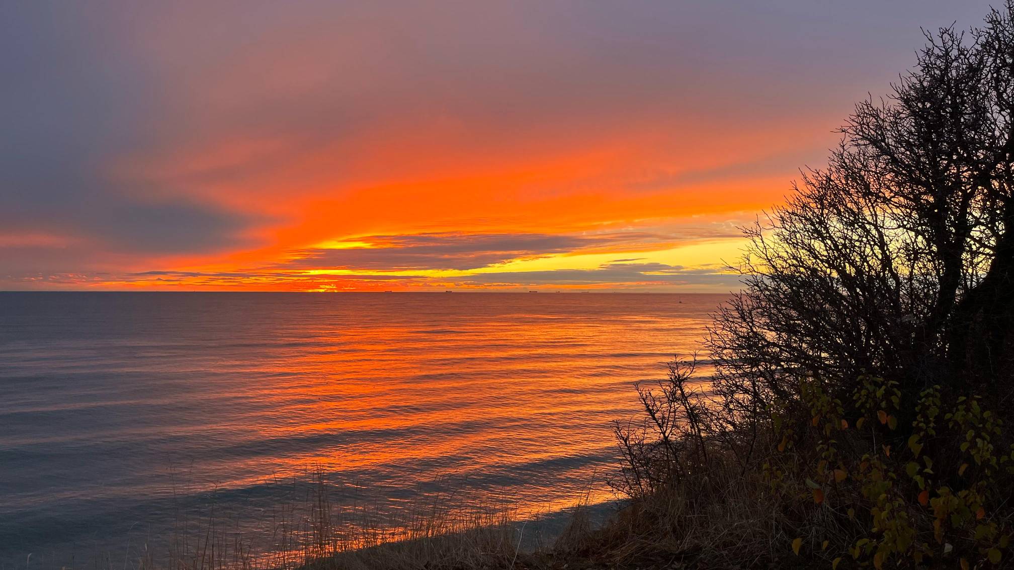 Фото Барракуда