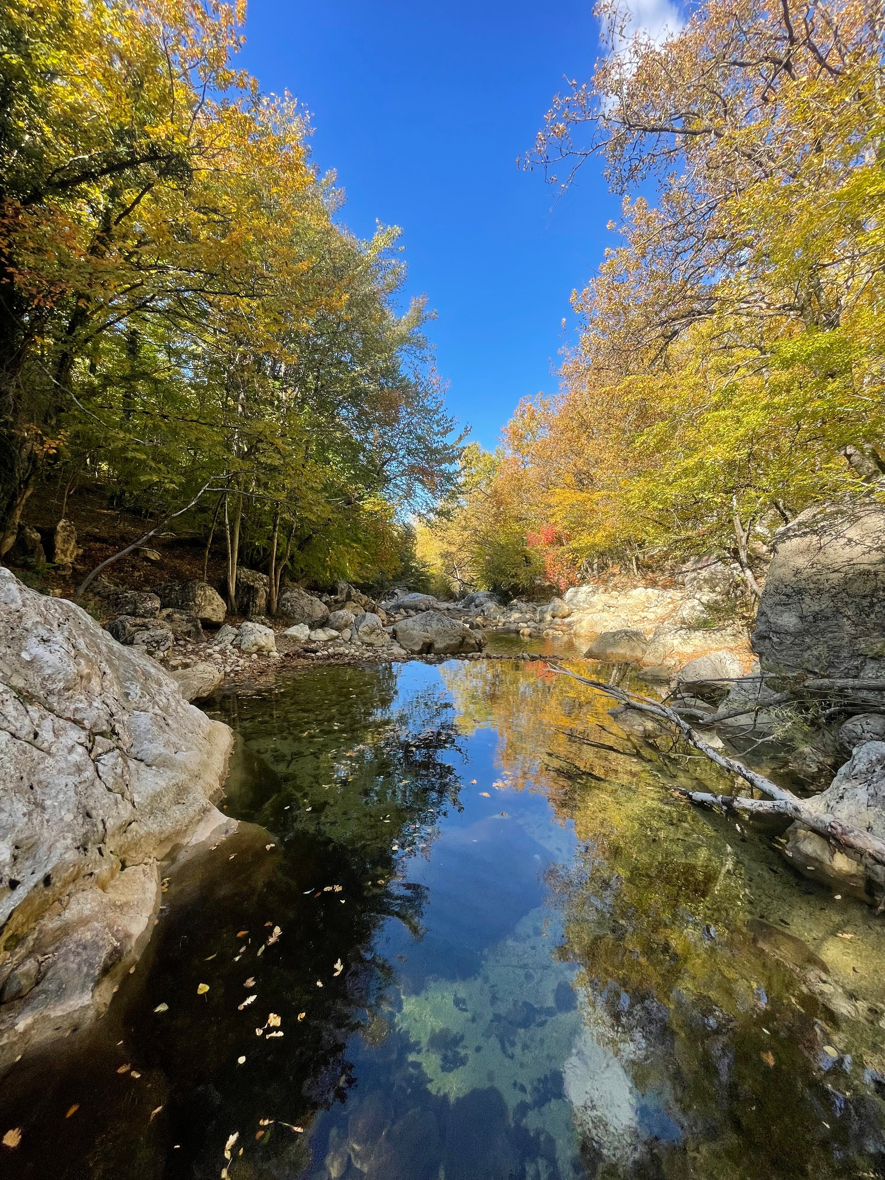 Фото Коккоз