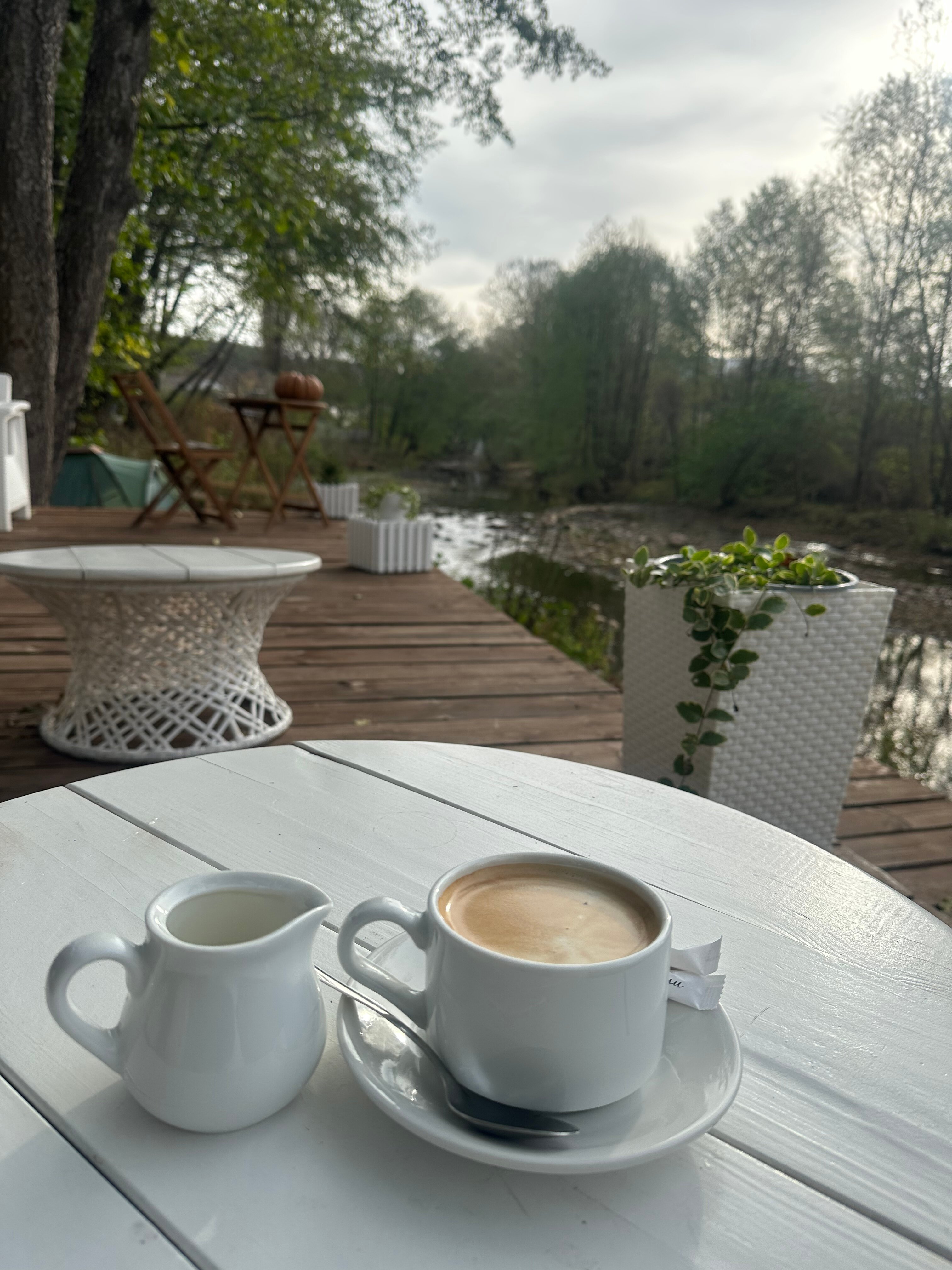 Фото Богатый лес