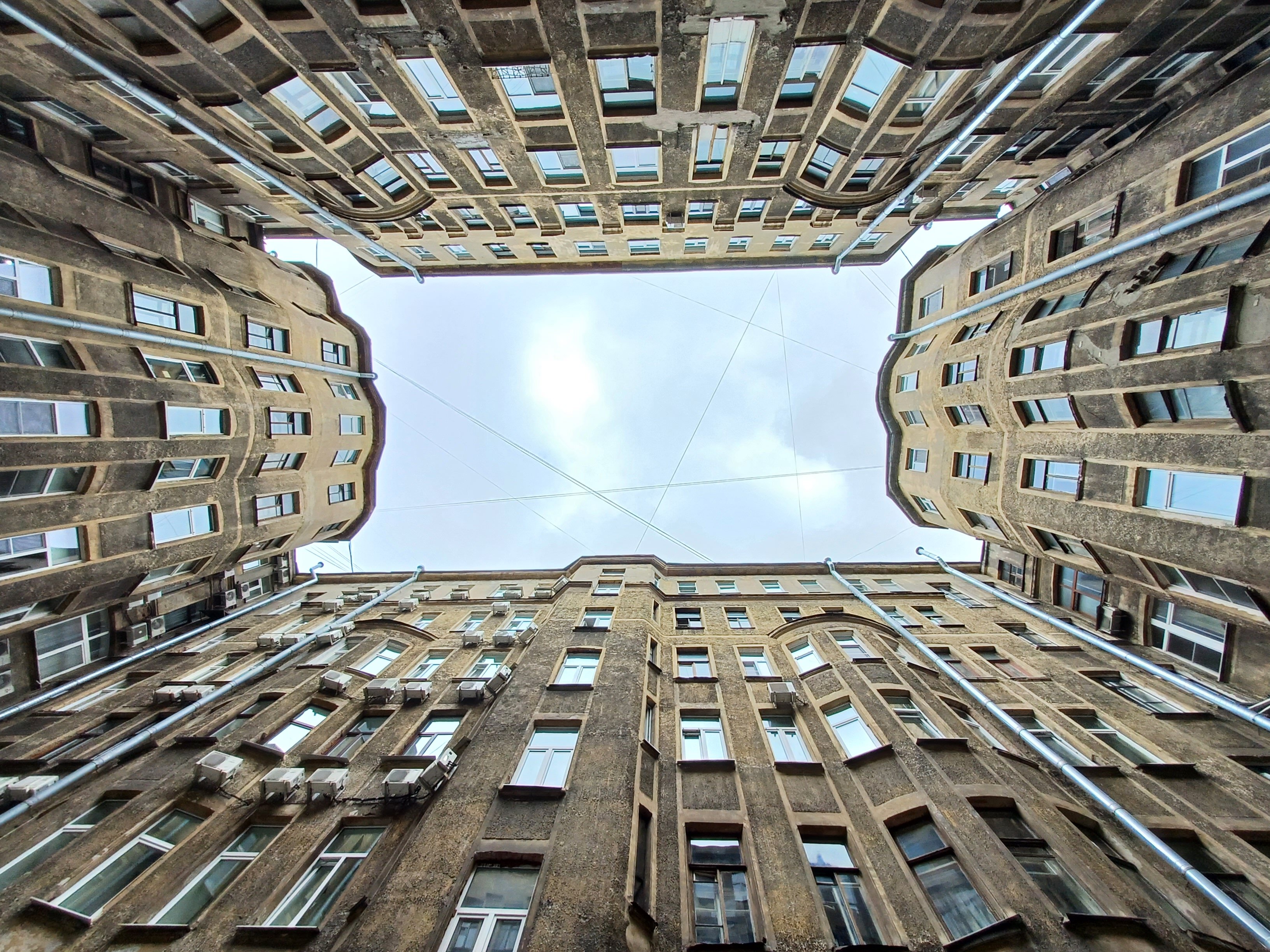 Фото Sokroma Аристократ