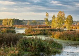Natsionalny park Losiny Ostrov (Losiny Ostrov National Park), meşə-park