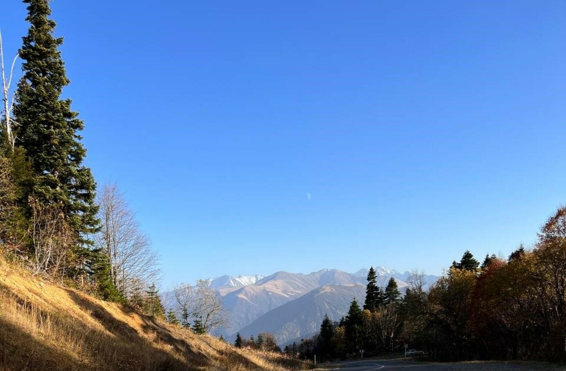 Фото Volkov Family