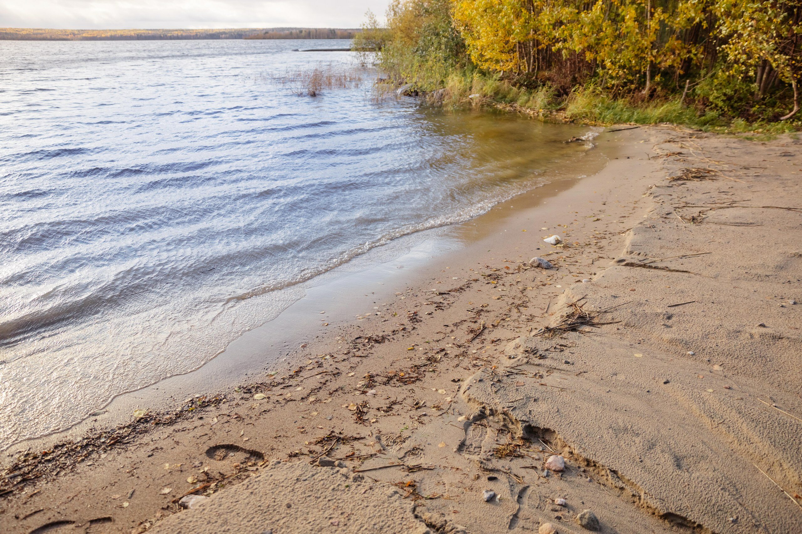 Фото Северный сад