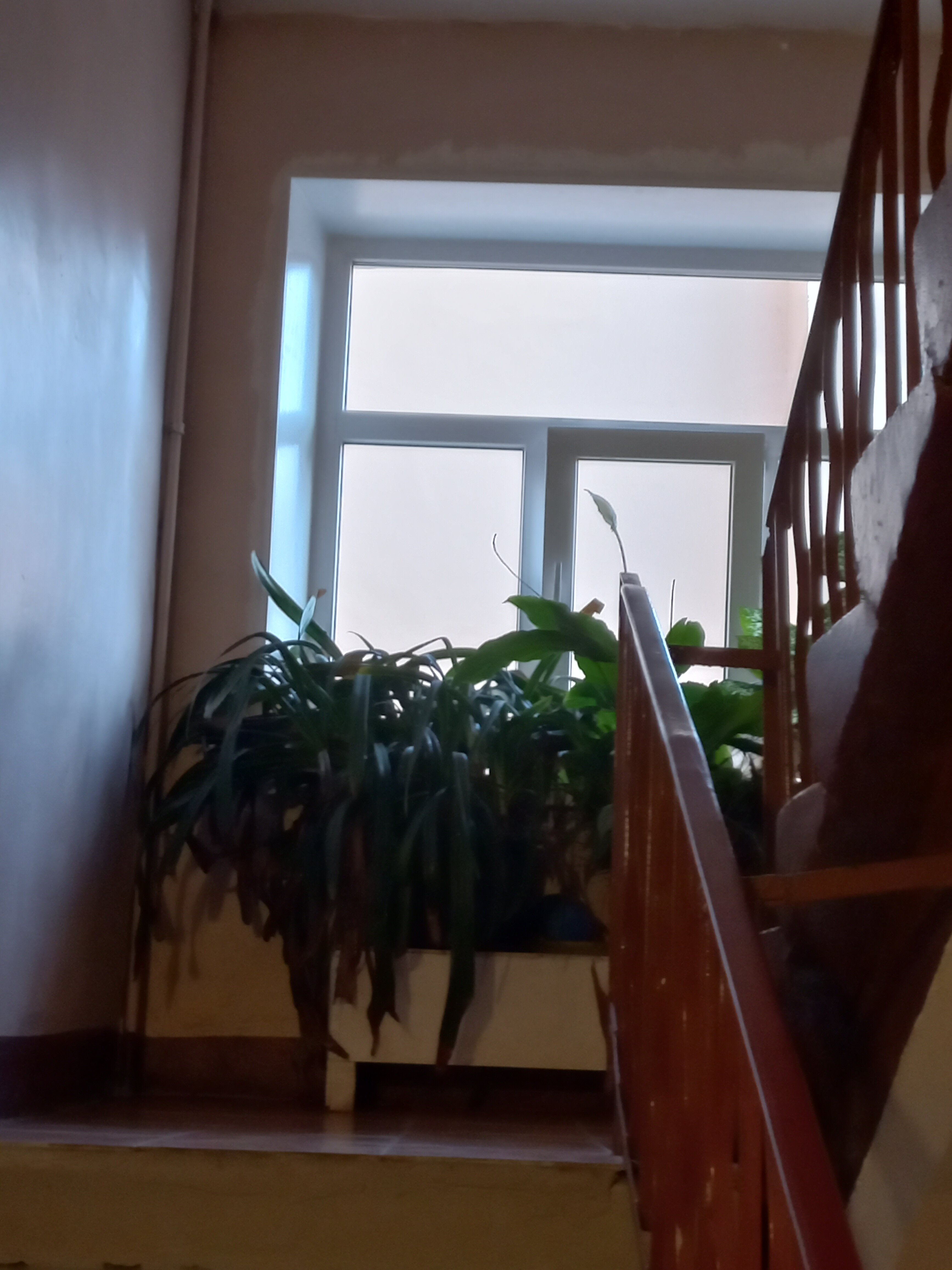 Фото Синема
