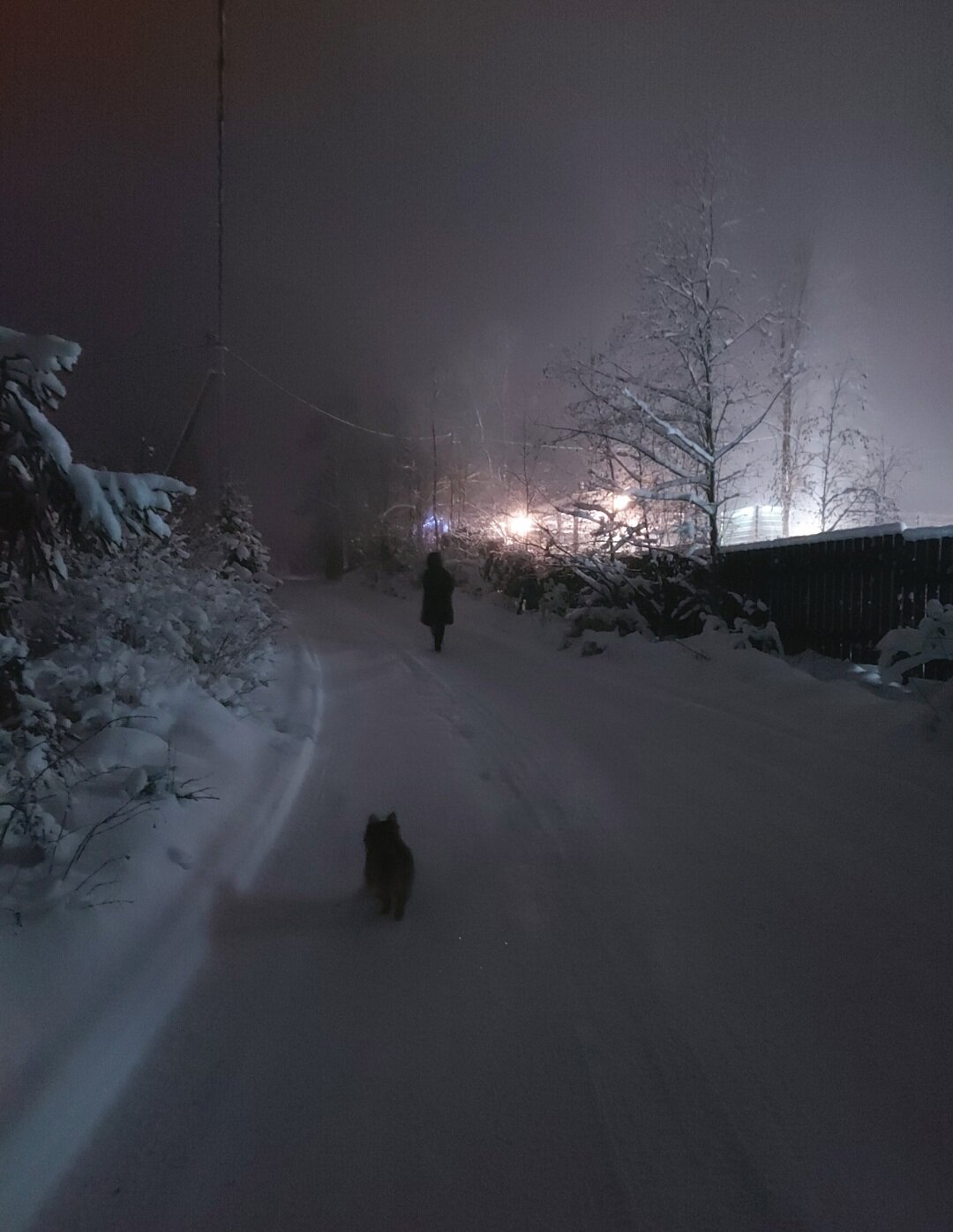 Фото Талони