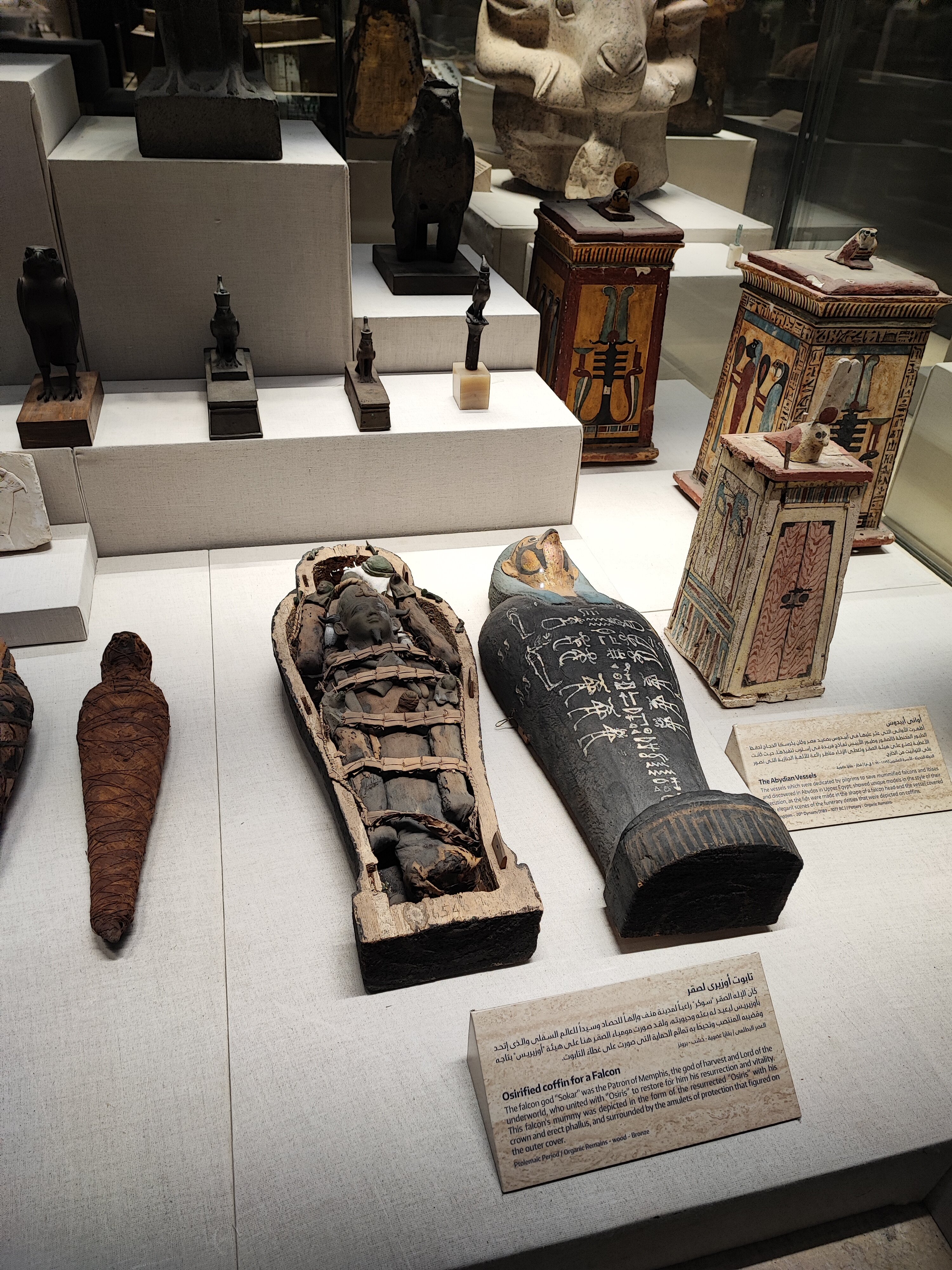 Фото Xperience Kiroseiz Parkland