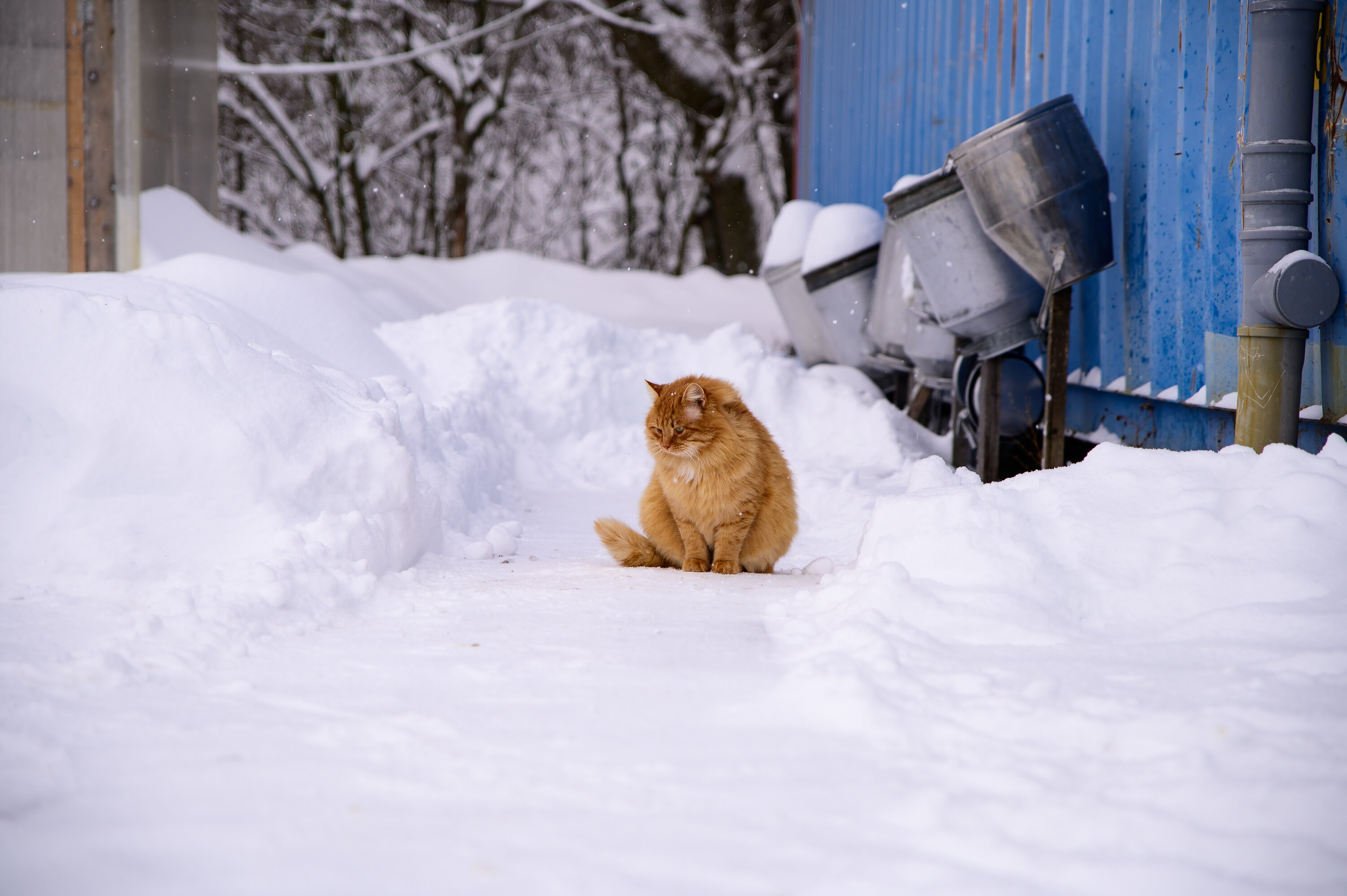Фото ВКС-Кантри